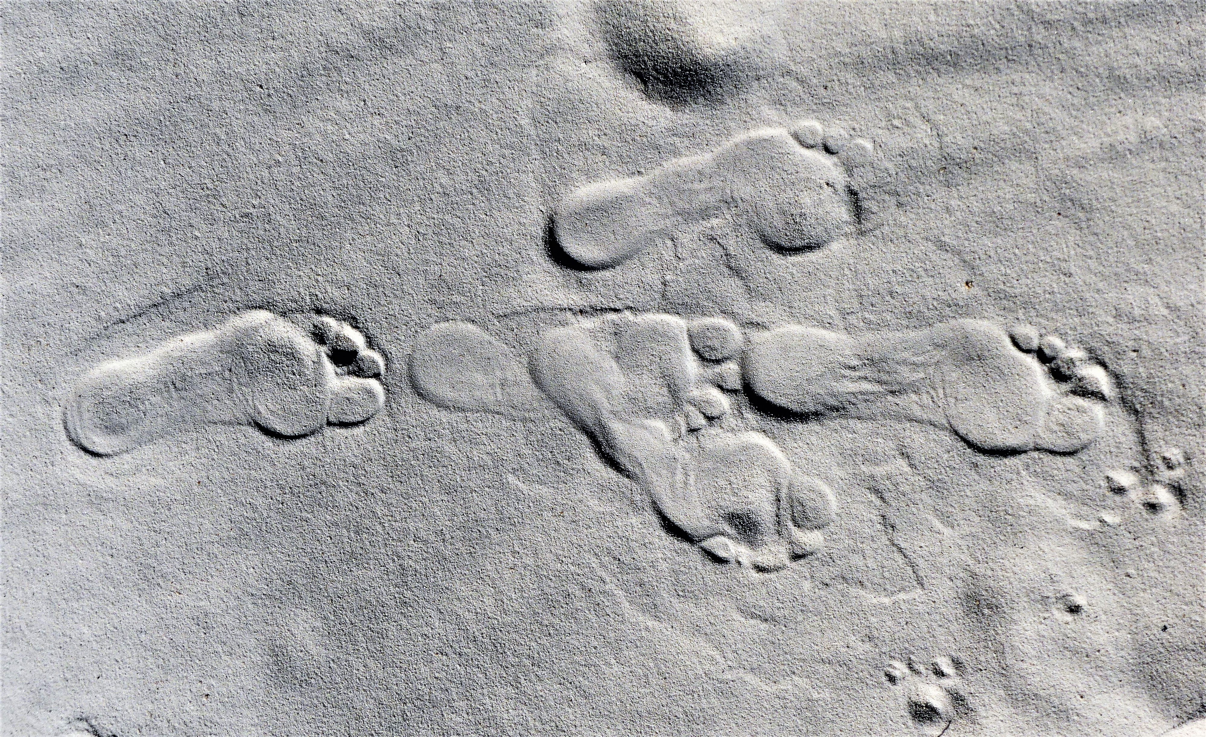 footprints
