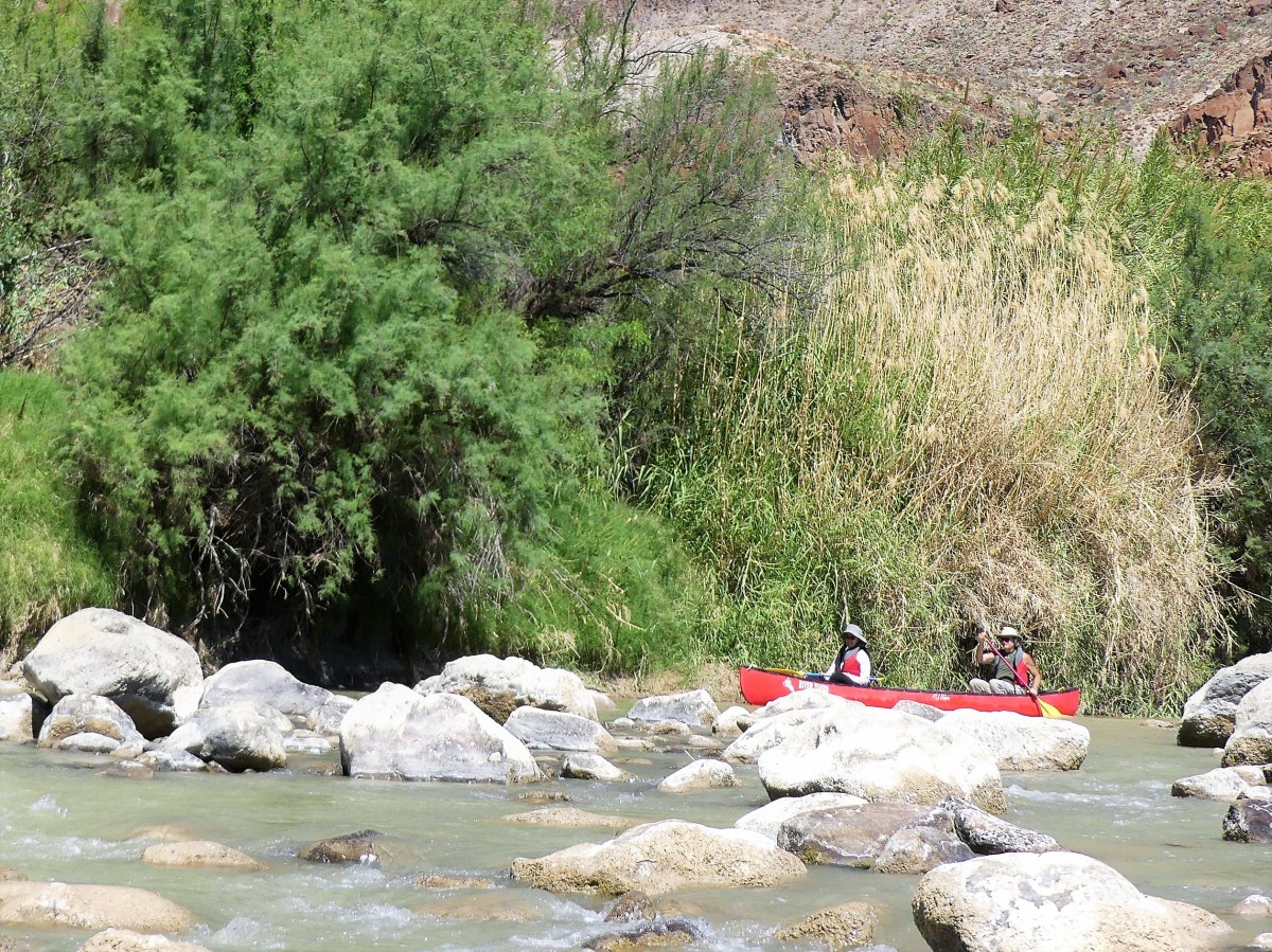 negotiating fast water