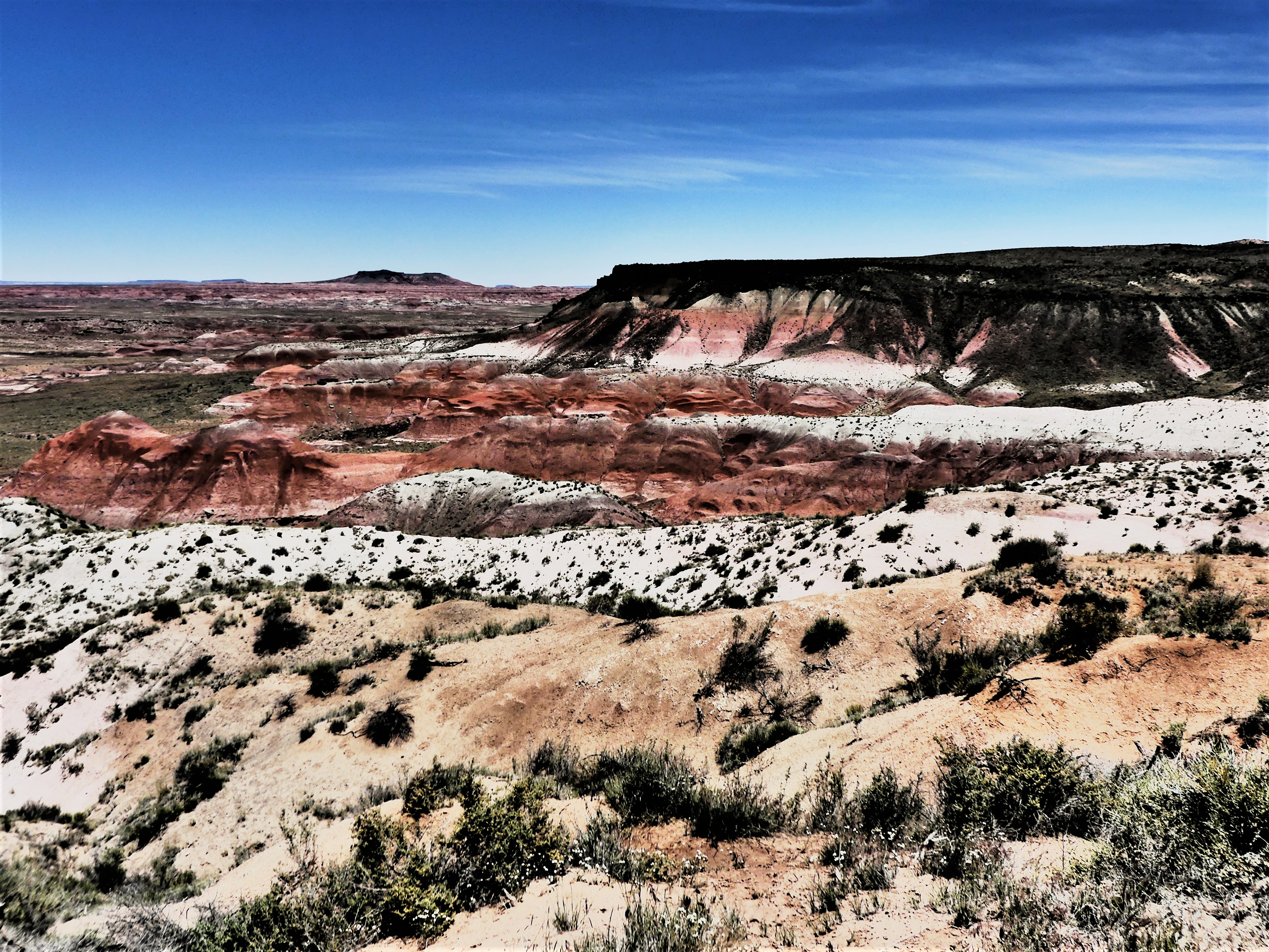 painted desert detail
