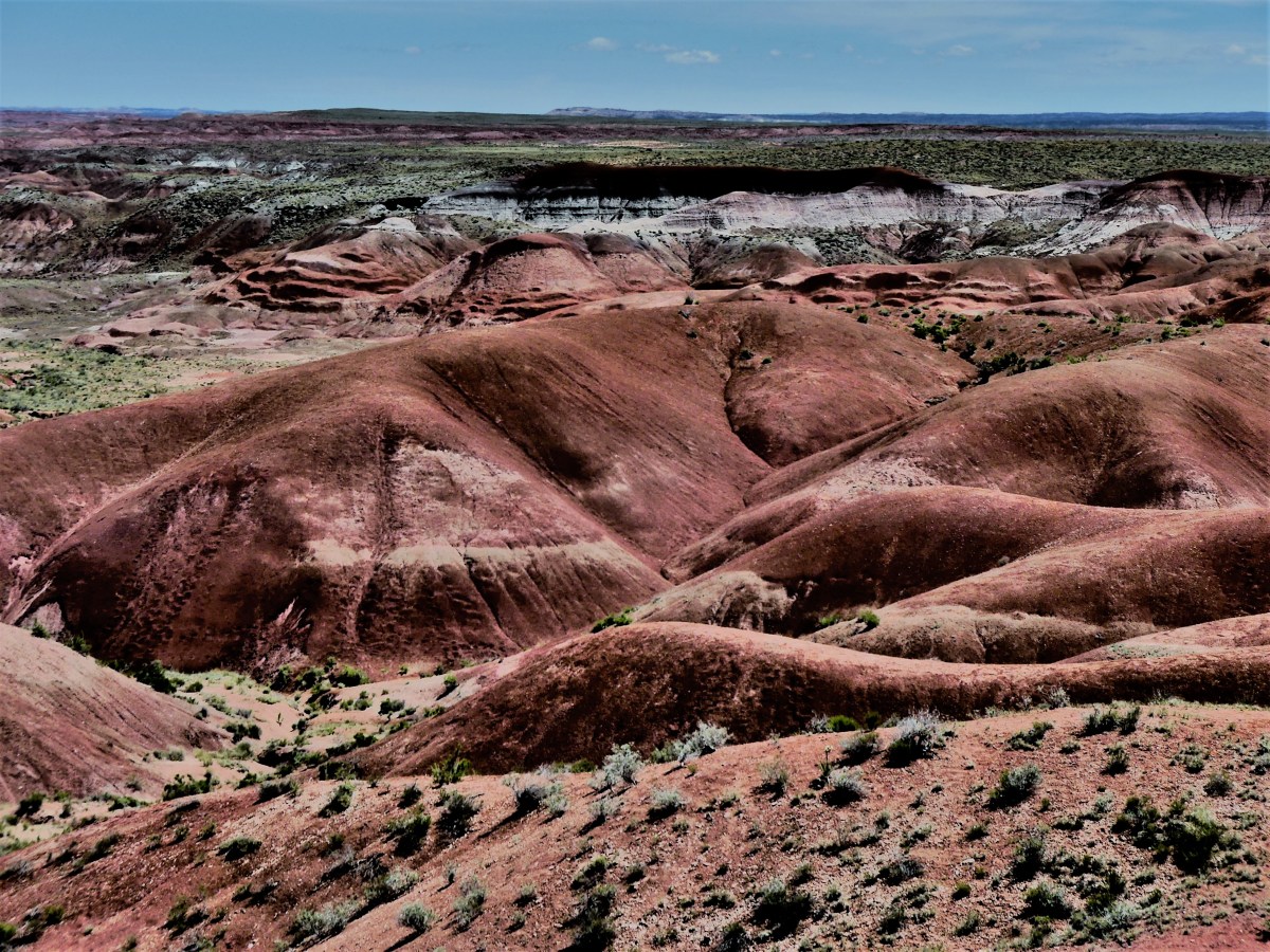 painted desert