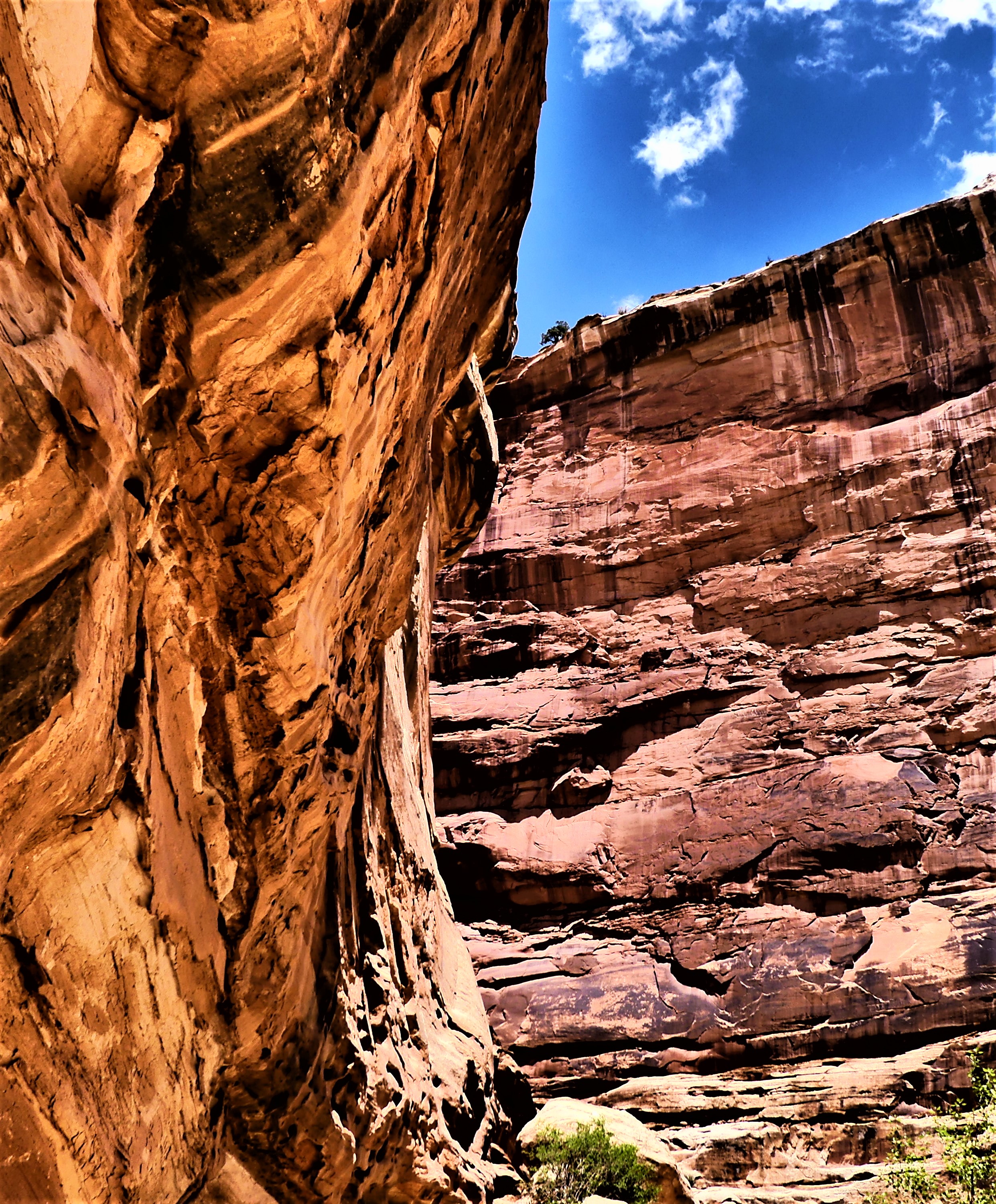canyon walls