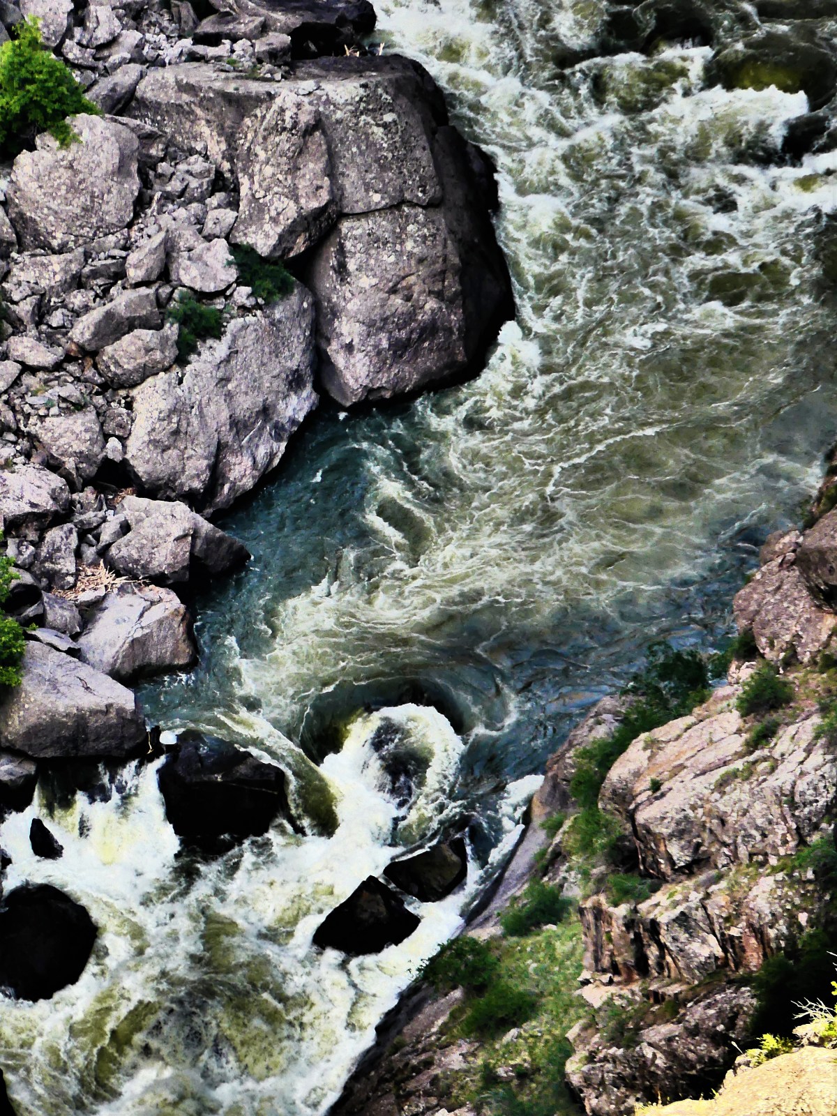CU Gunnison rapids
