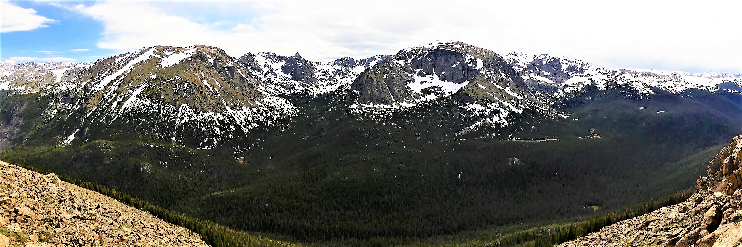 forest canyon panorama