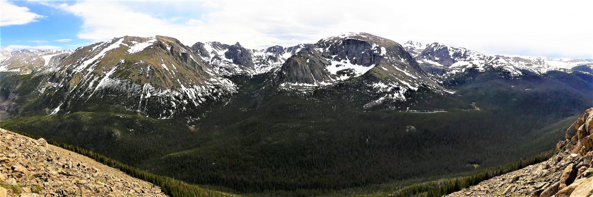 forest canyon panorama
