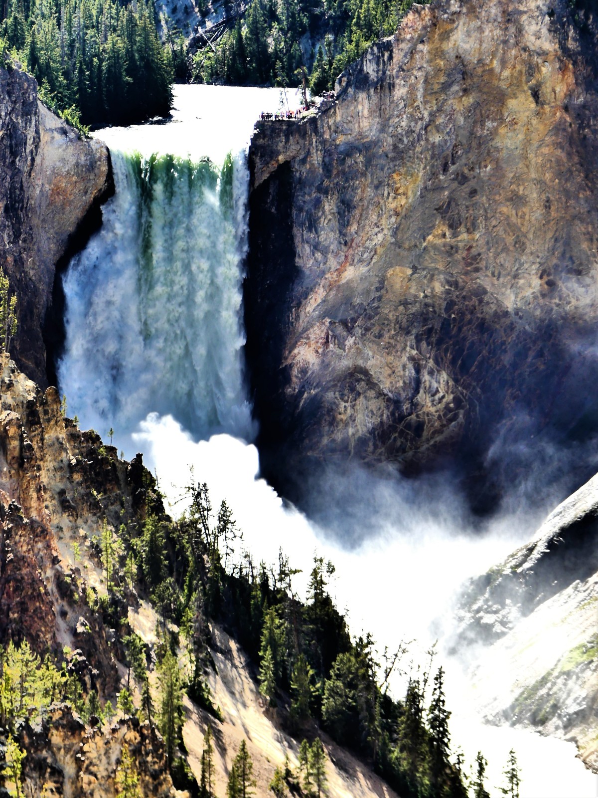 Lower falls establishing
