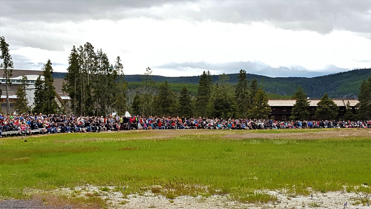 old faithful crowd