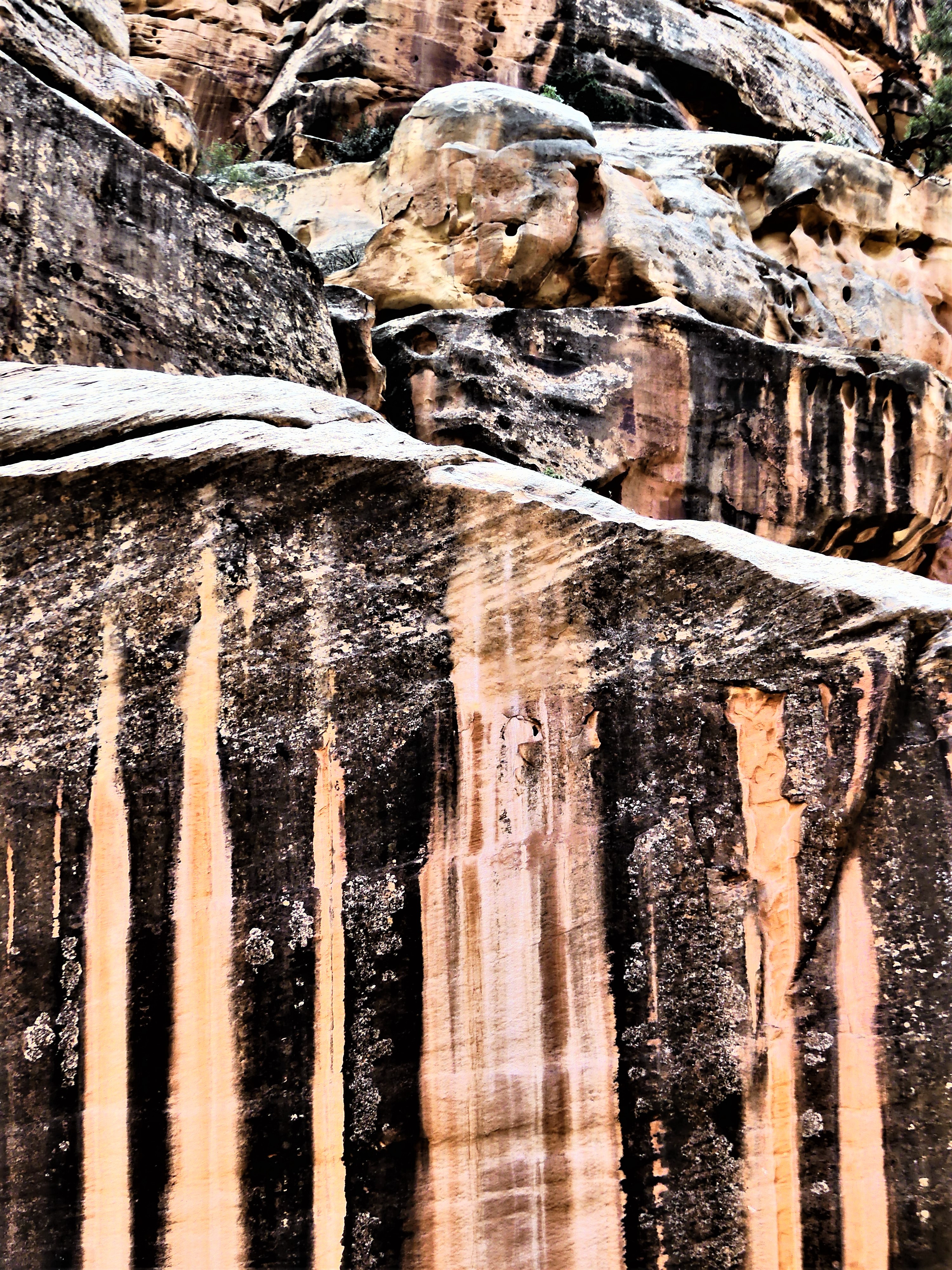 scenic hwy canyon wall1