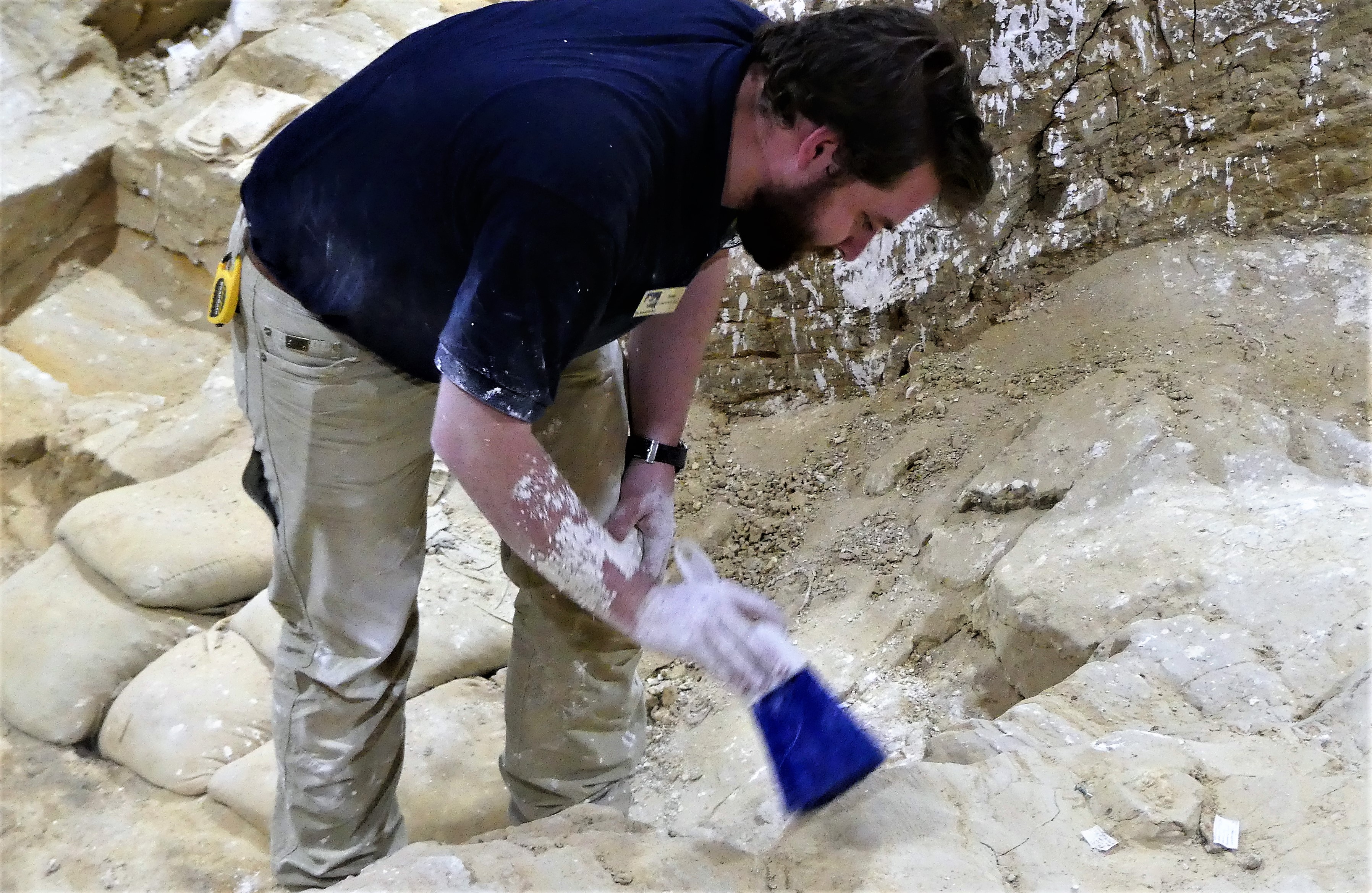 archeologist at work