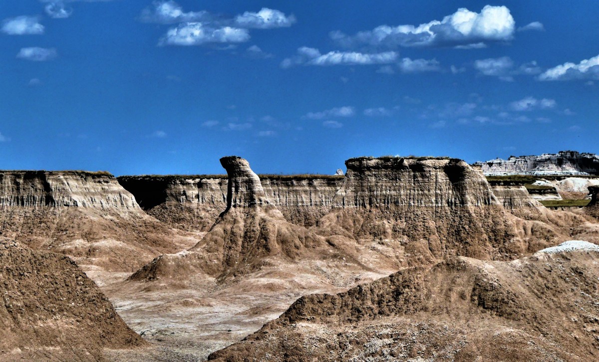 Cedar Pass Fossil Area (2)