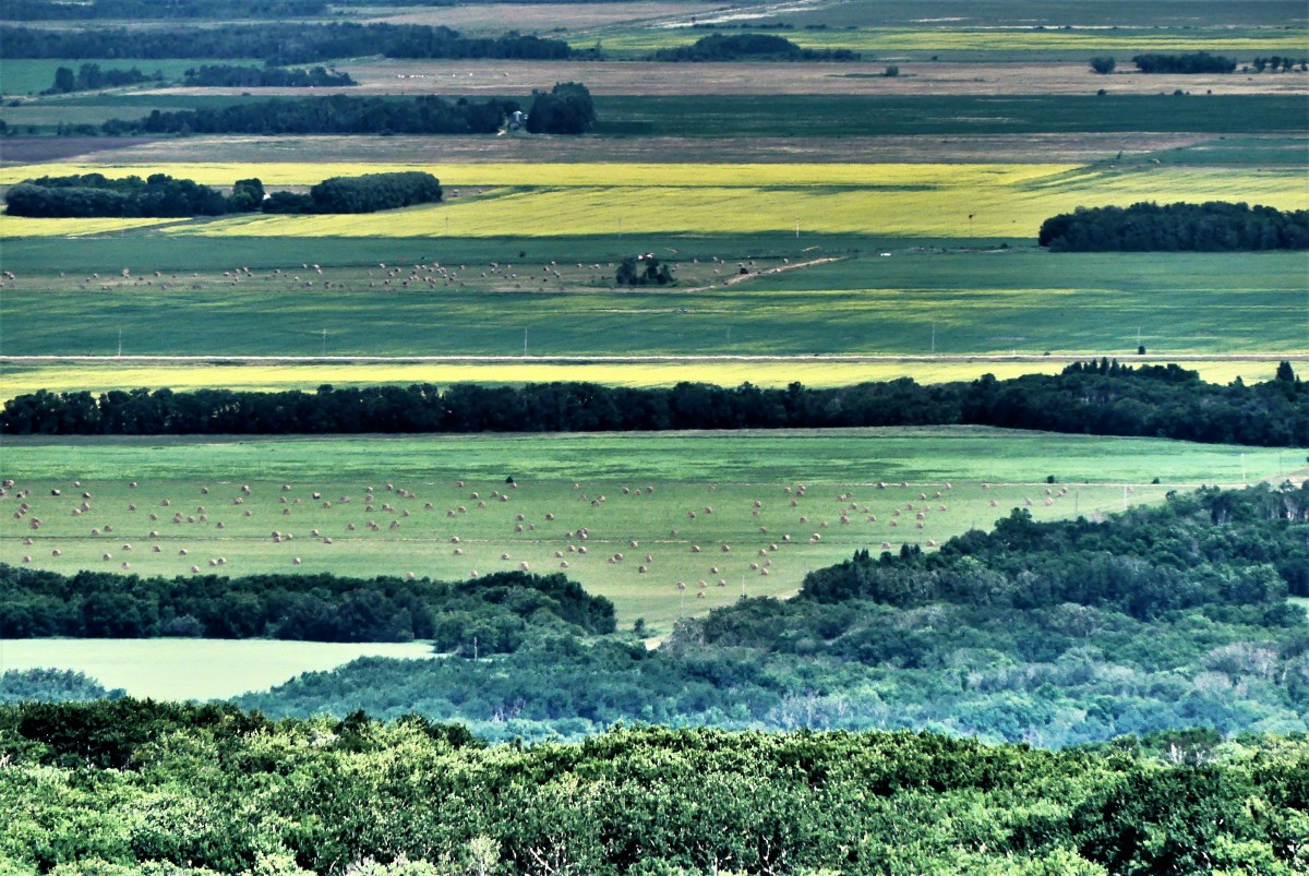 Manitoba Escarpment view