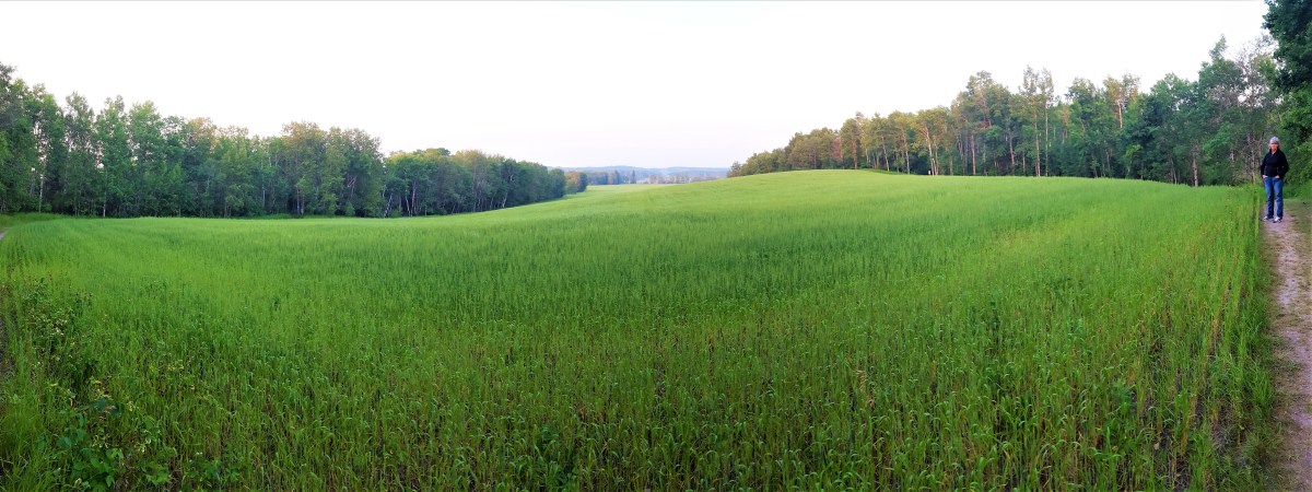 Prairie grass and Leah