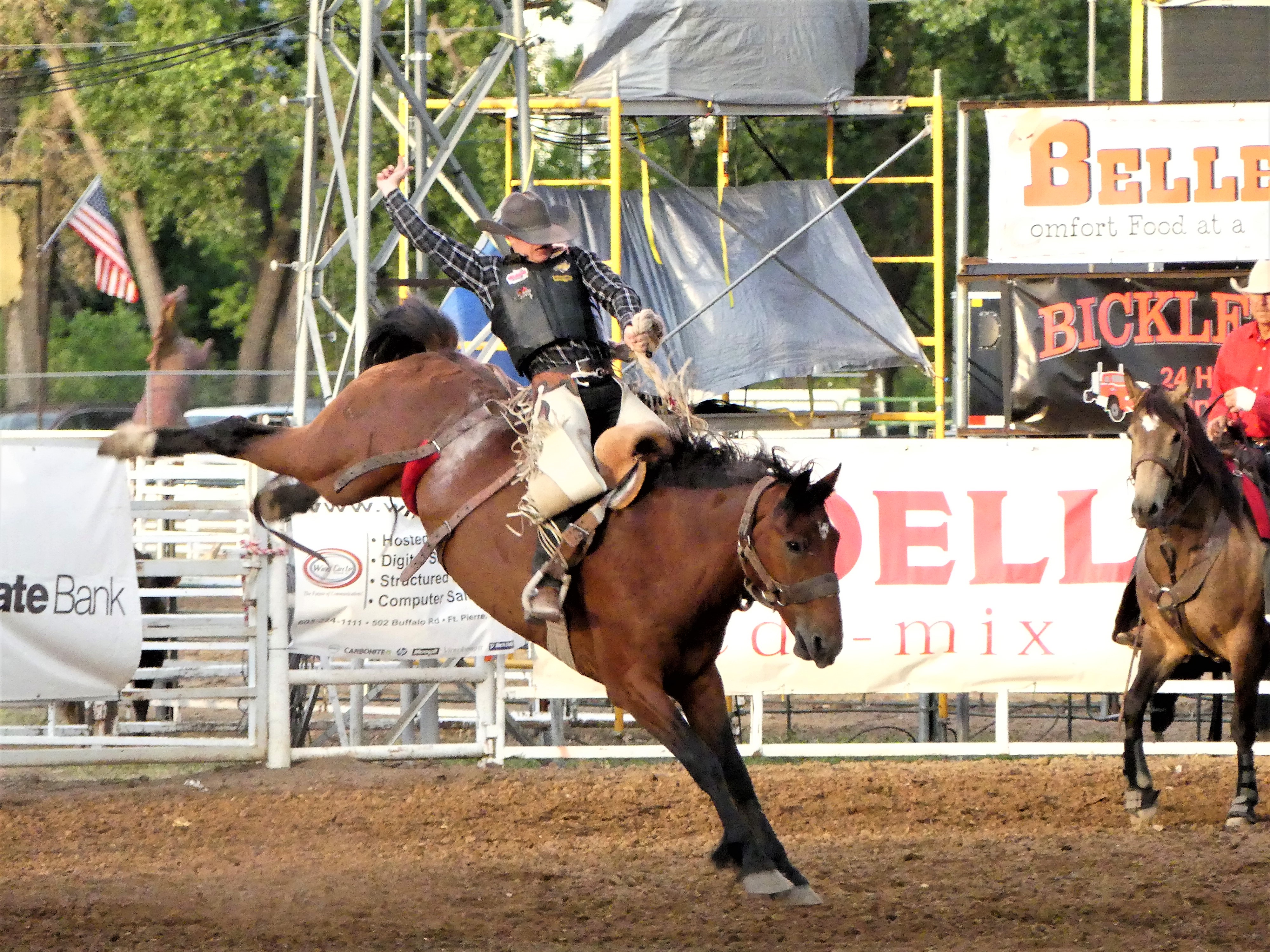saddle bronc