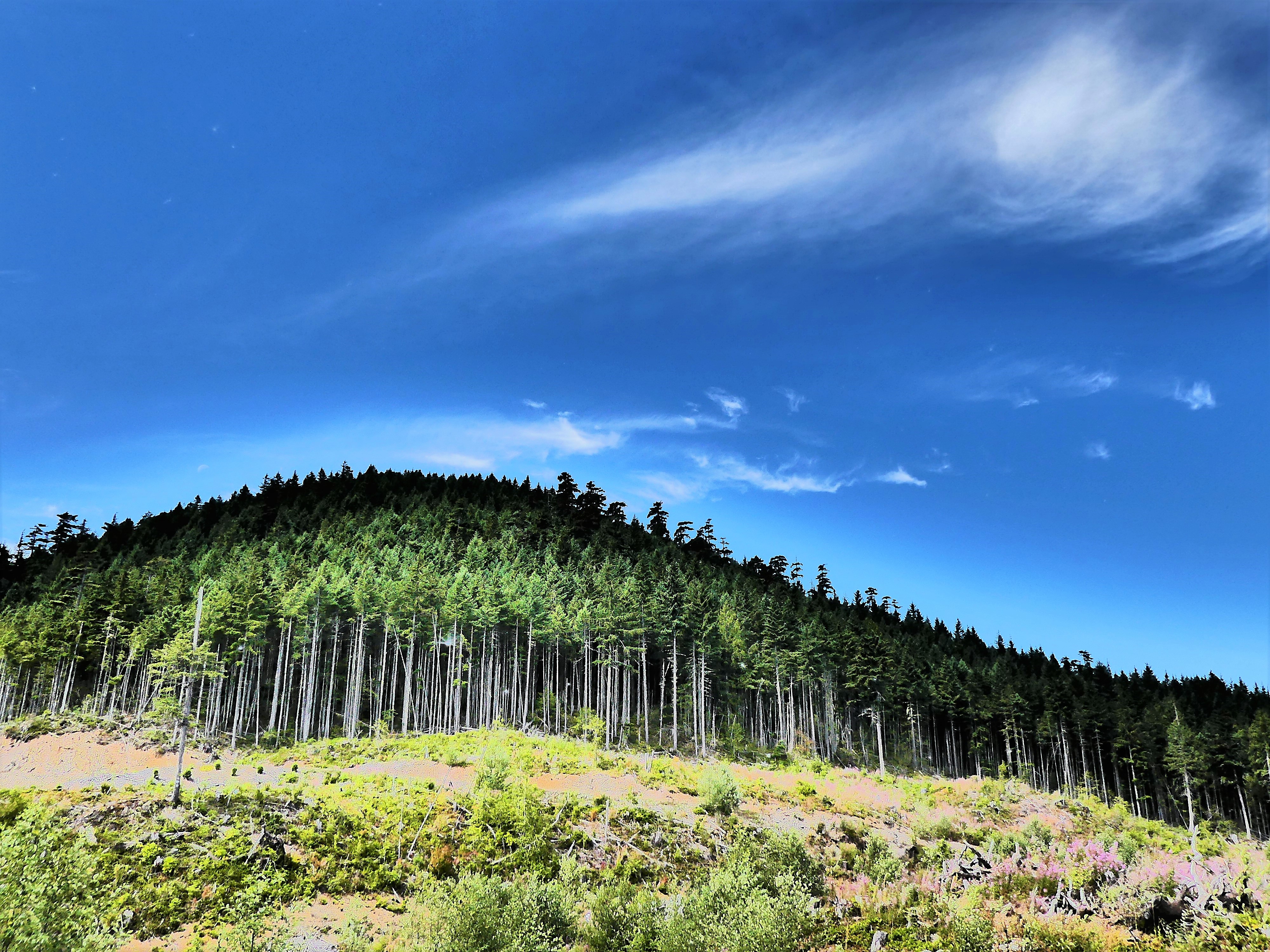 atop Mt. Jupiter1 (2)