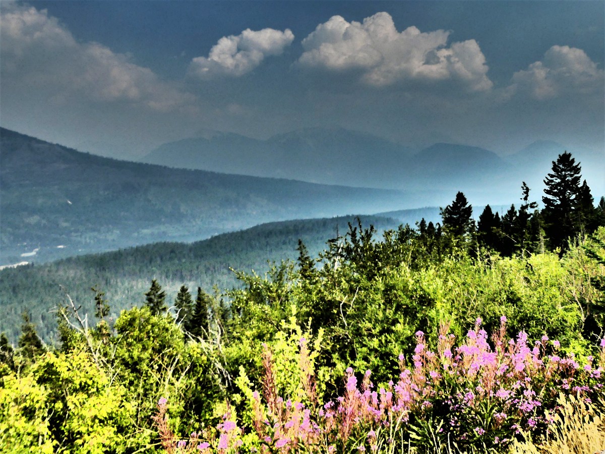 beauty thru the haze