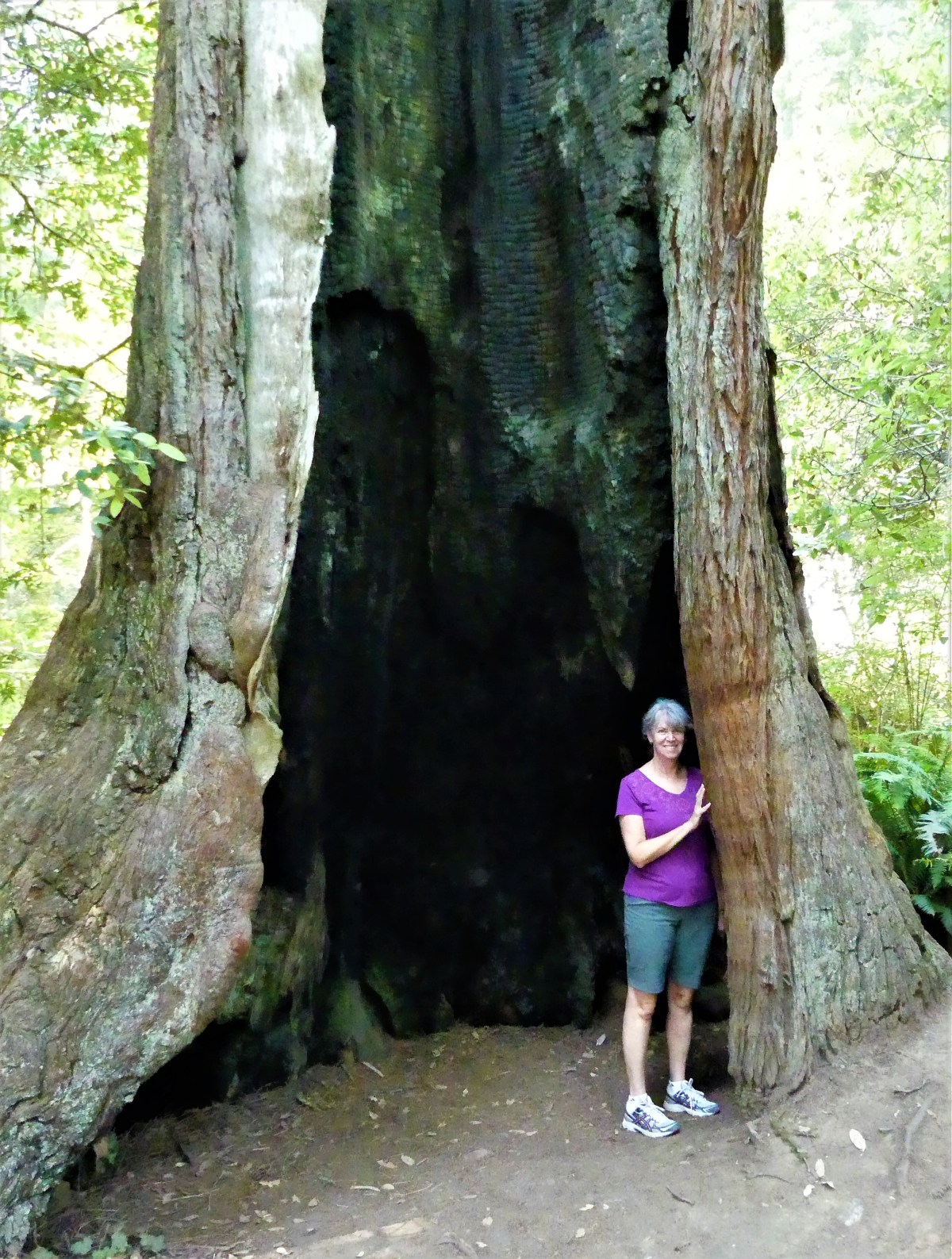 burned out but alive