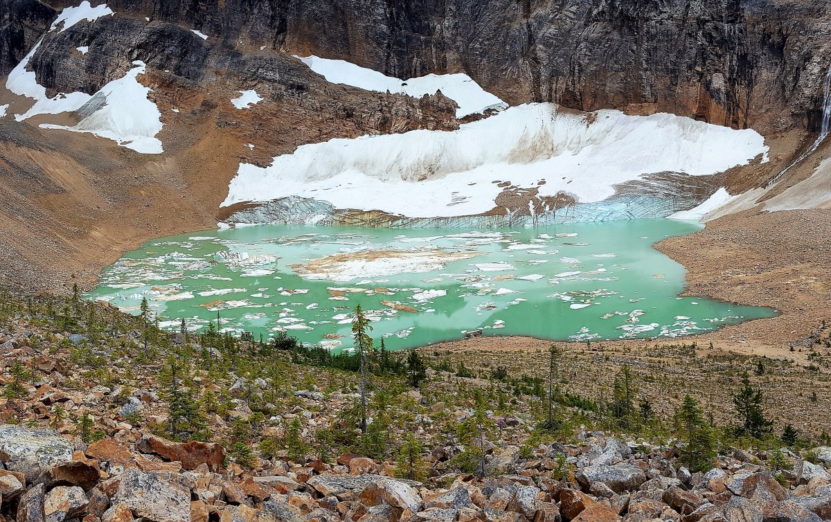 Cavell Glacier overlook