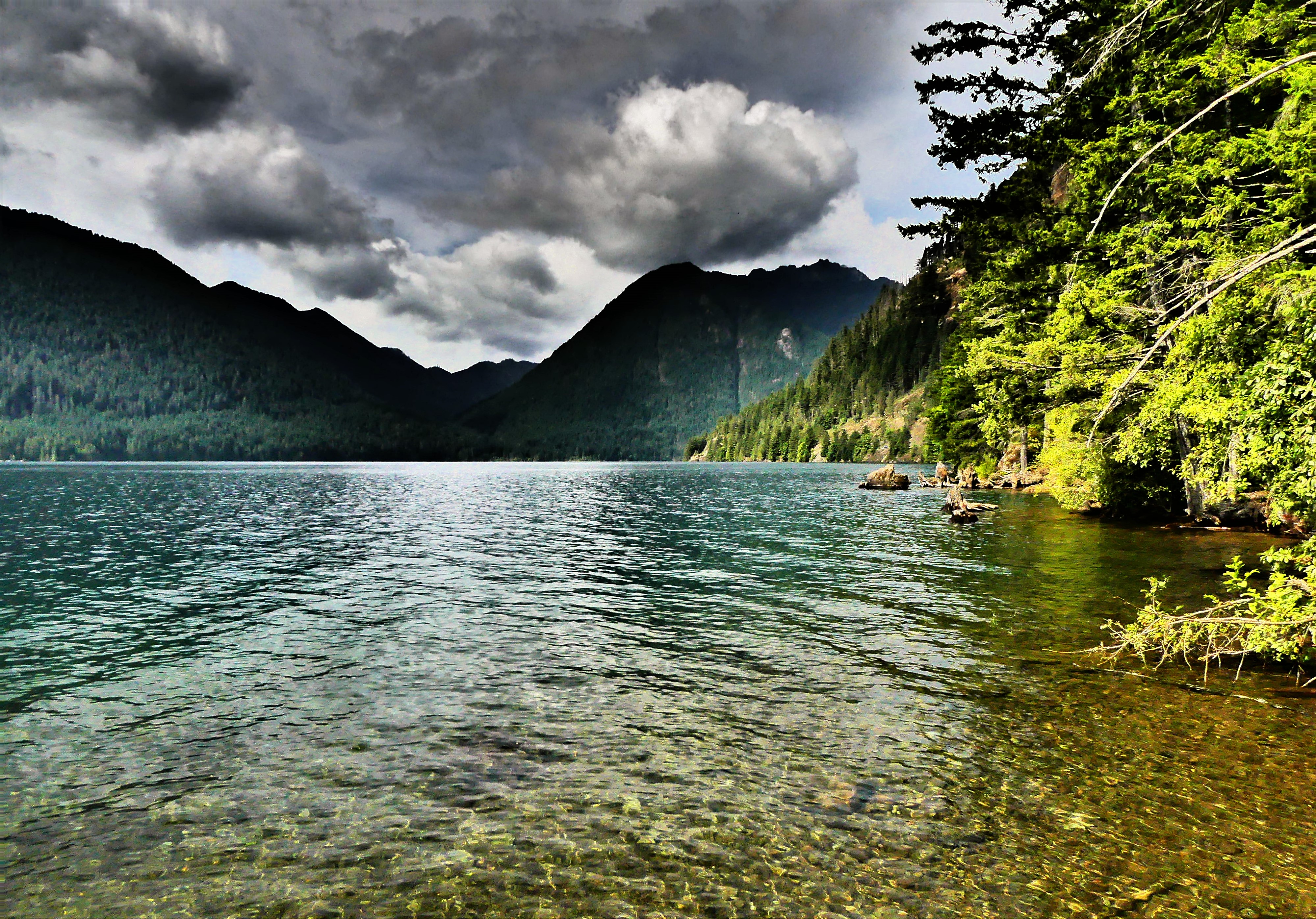 Lake Cushman