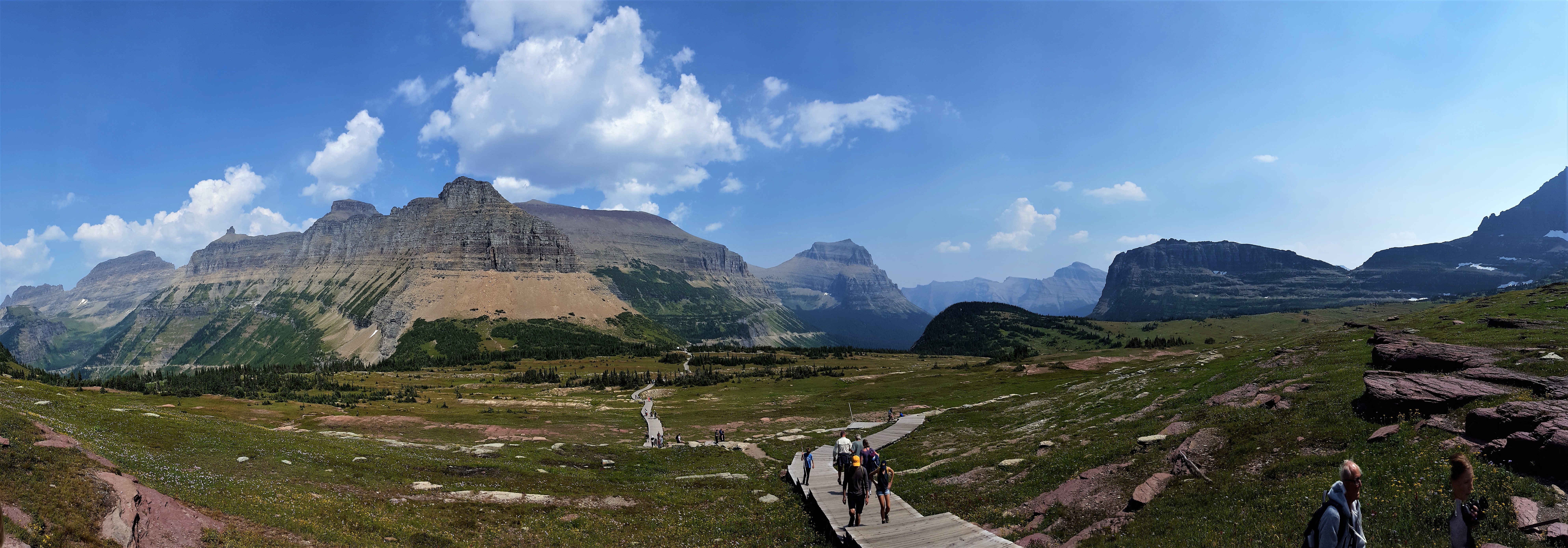 Logan Pass panorama