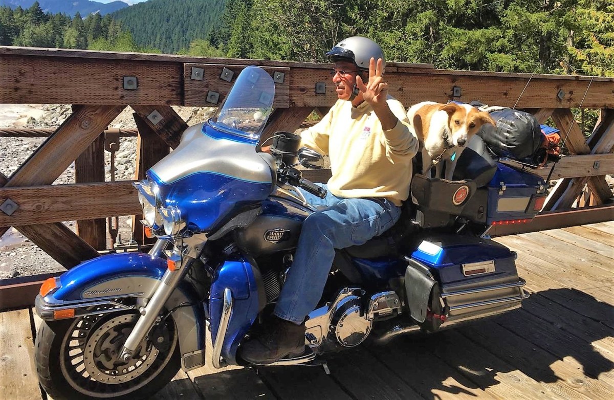motorcycle dog