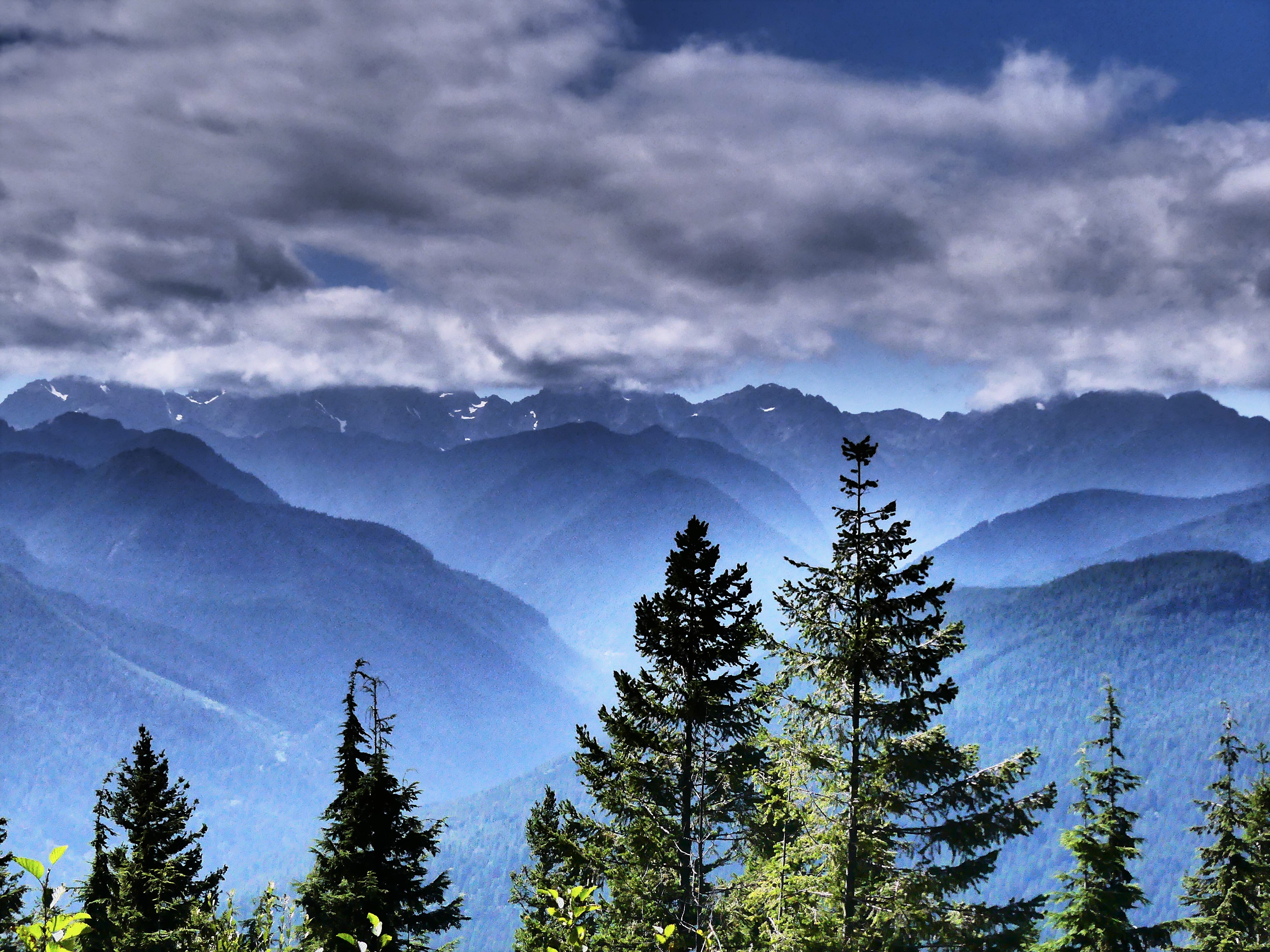 North view from Walker