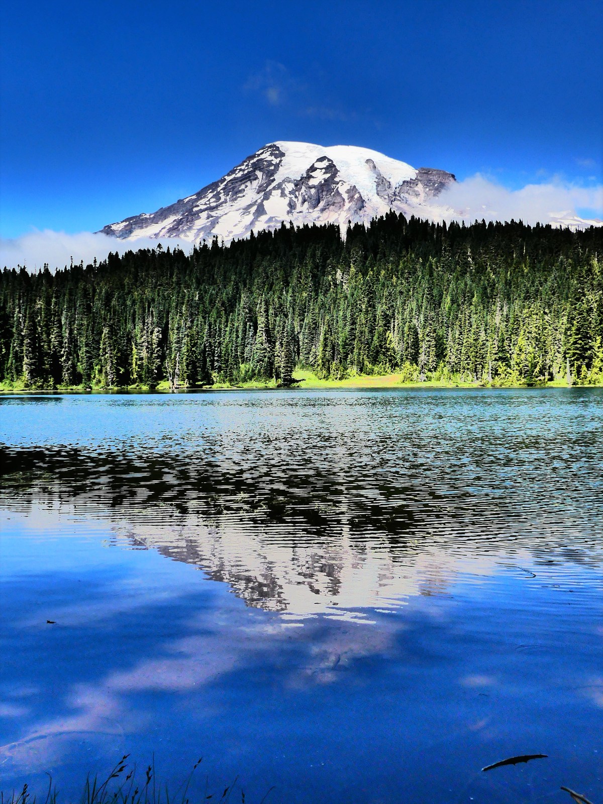 Ranier reflection