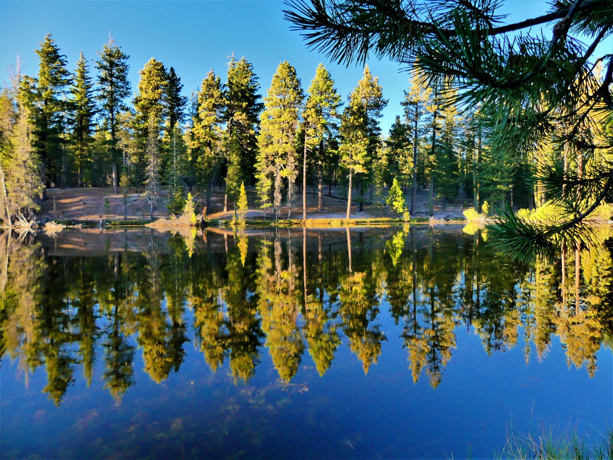 Reflection Lake
