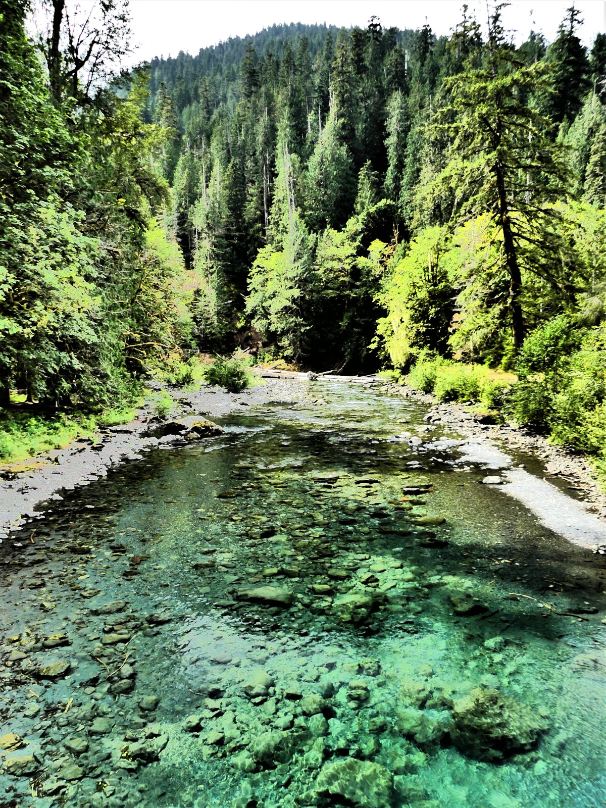 view from the bridge