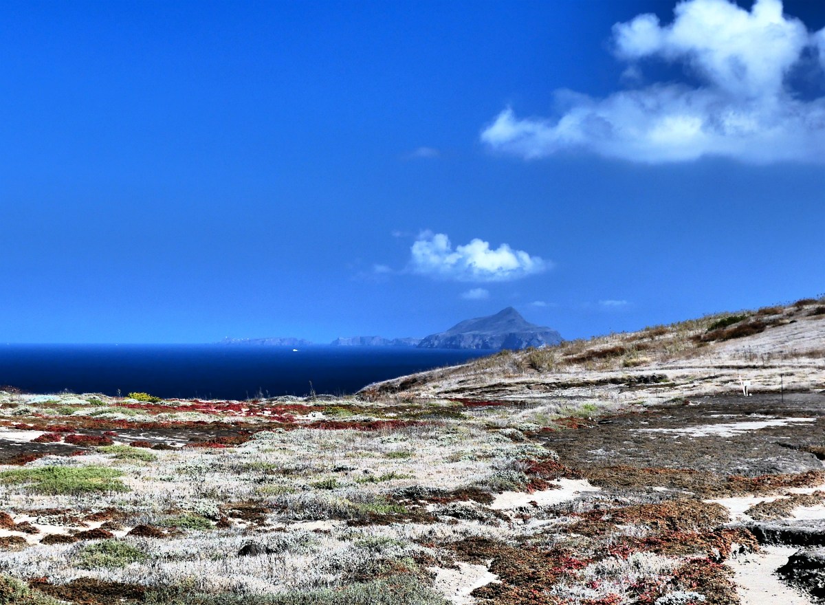 Anacapa Island