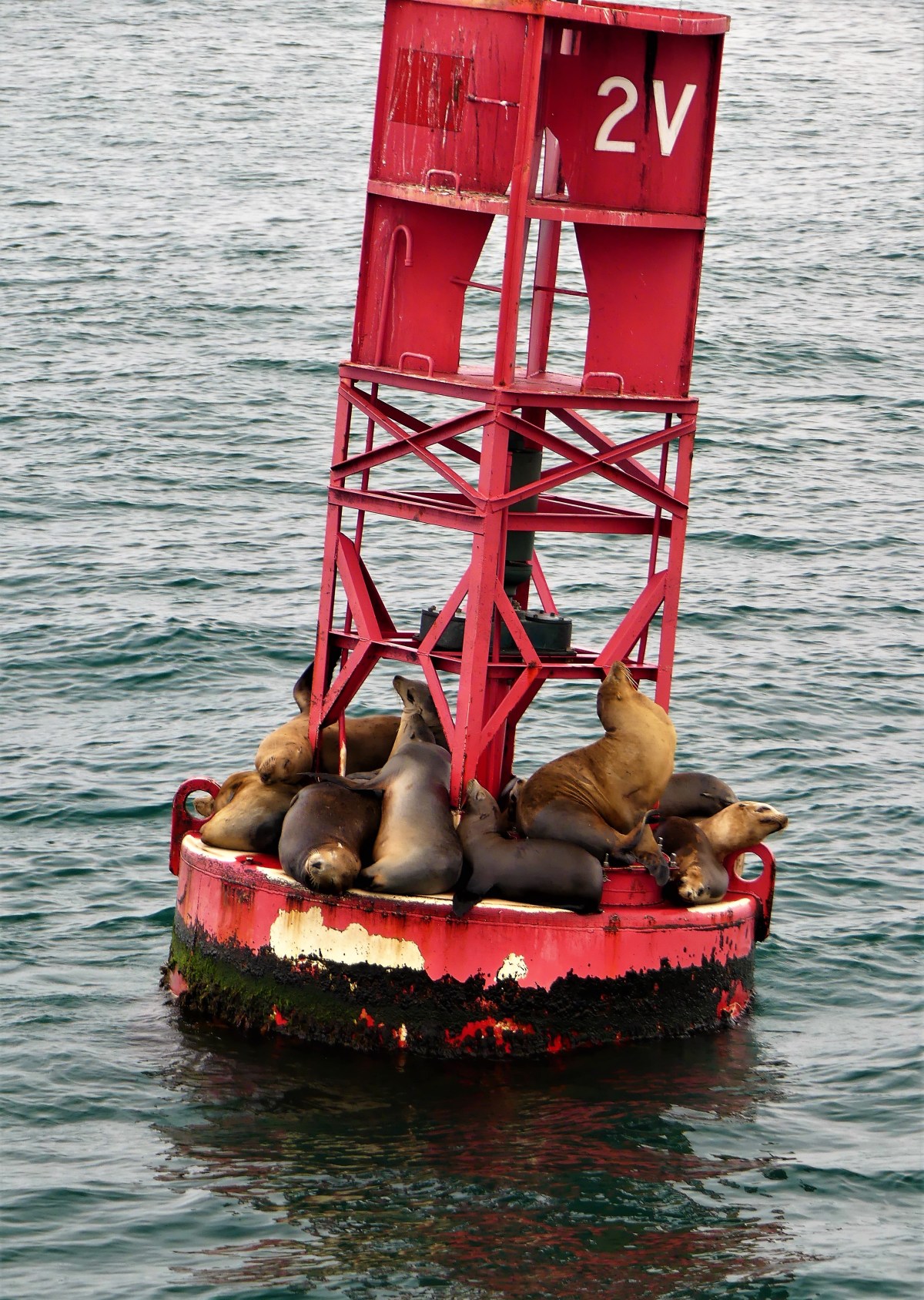 hauling on a buoy