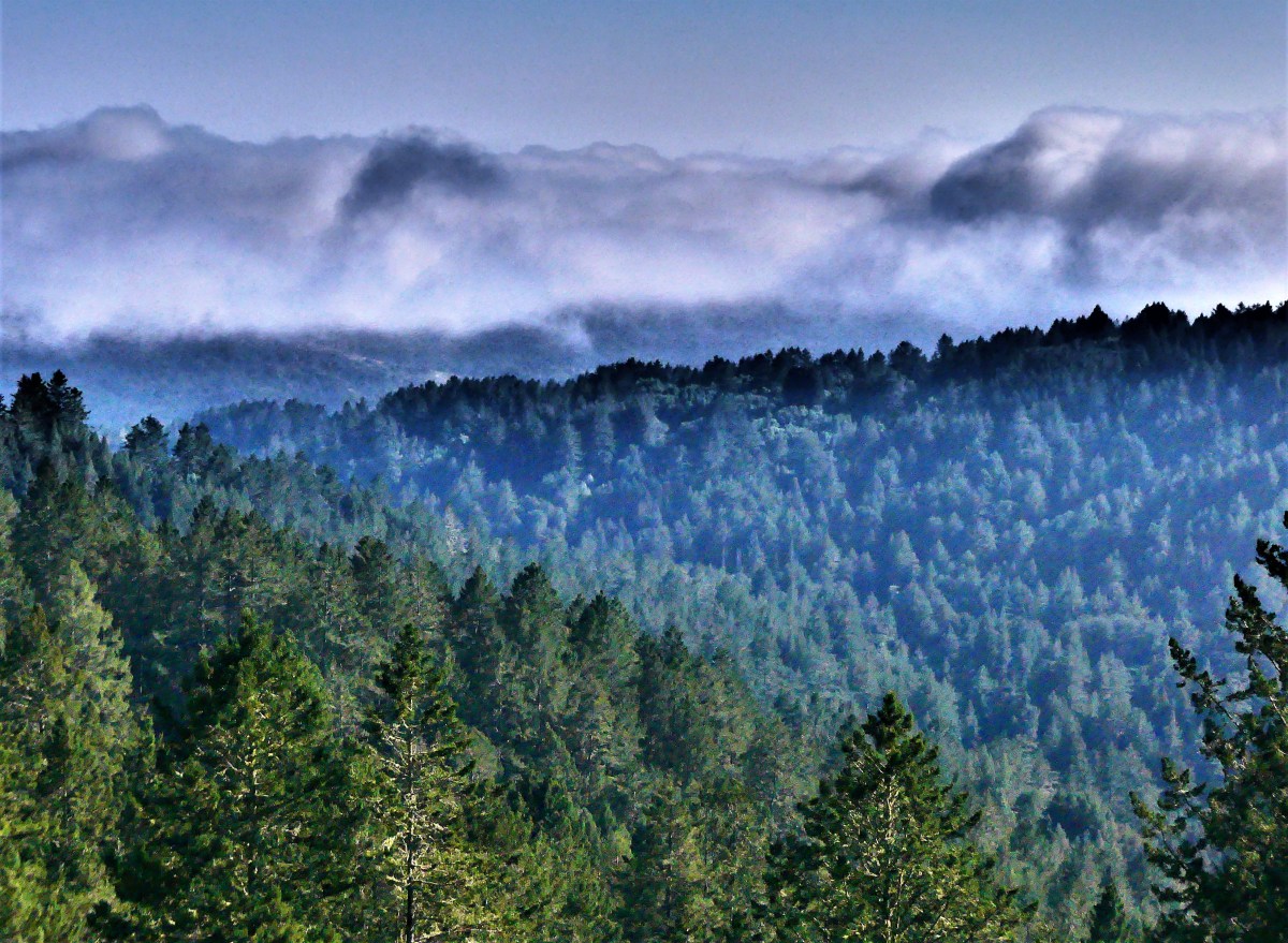 View from Panoramic Road