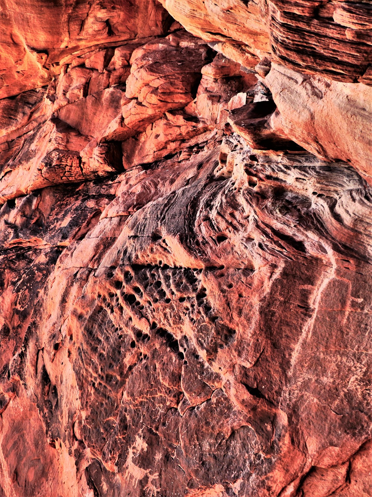 animal petroglyph.jpg