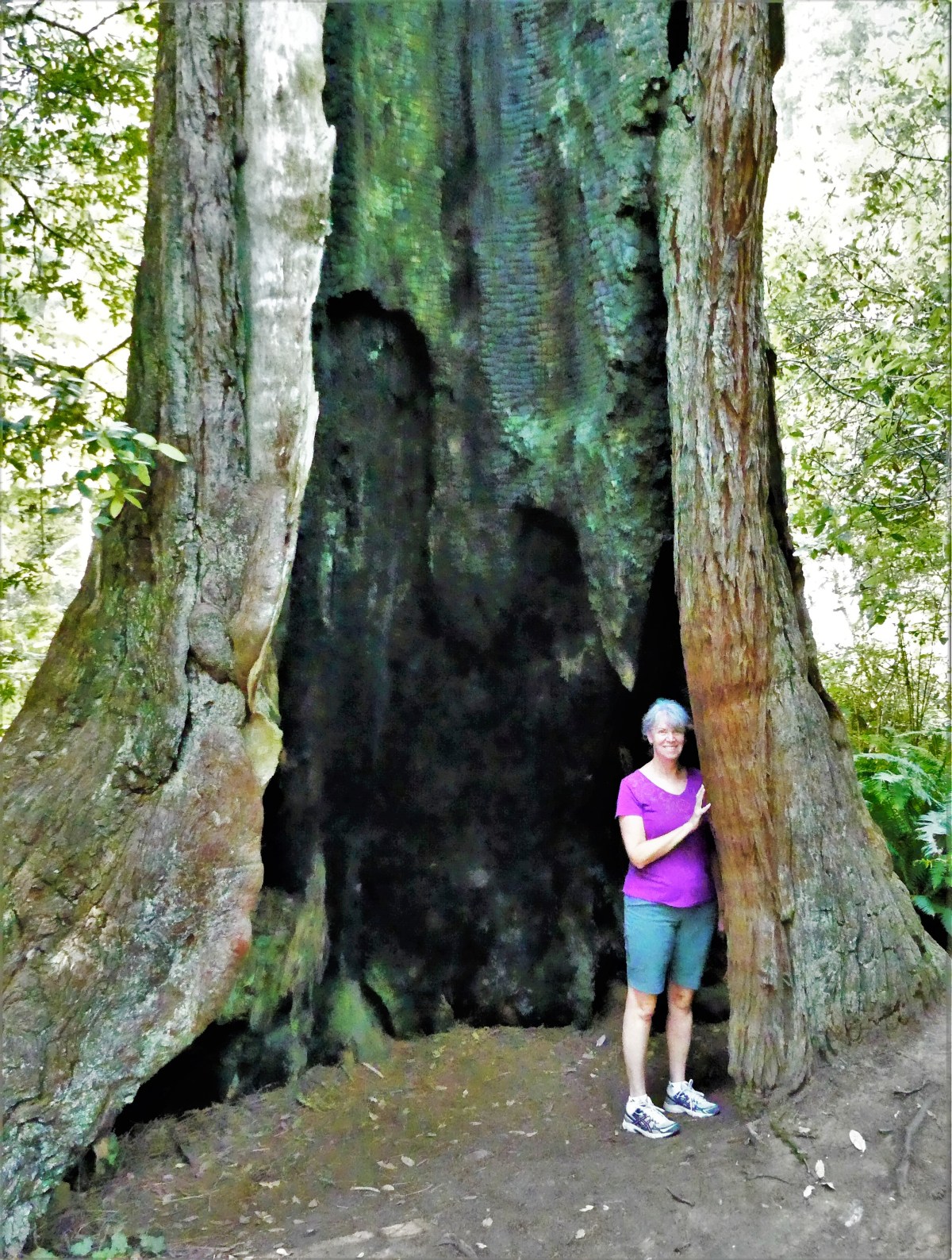 burned out but alive (2)