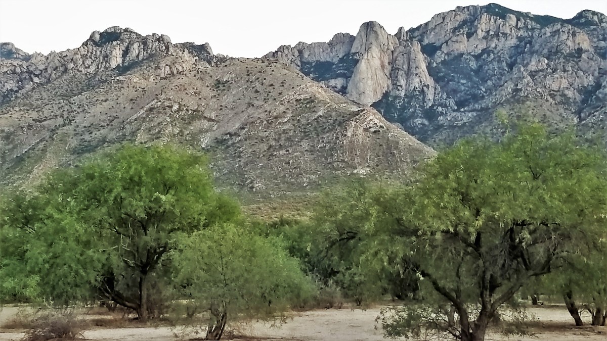 Catalina Mtns