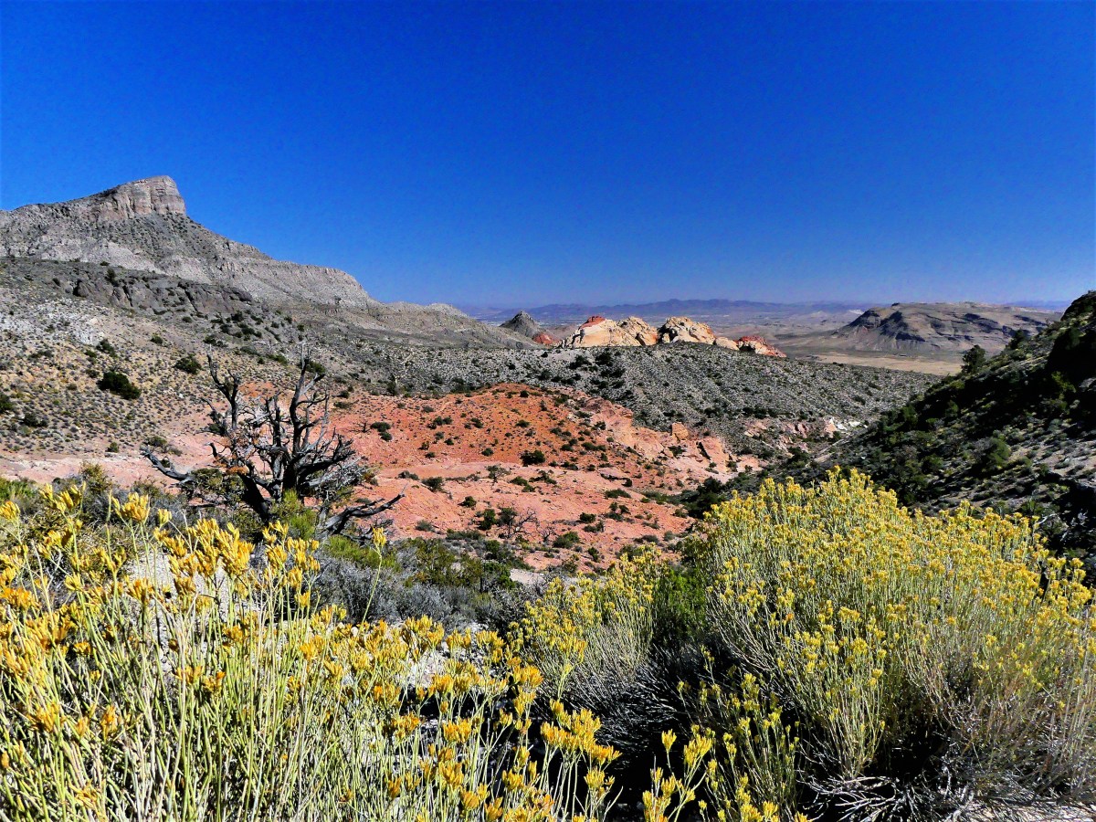 Keystone Notch Trail