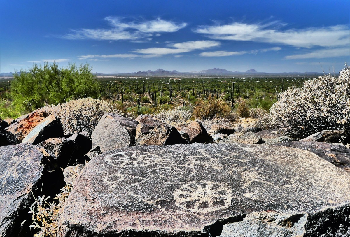 signal hill petroglyphs