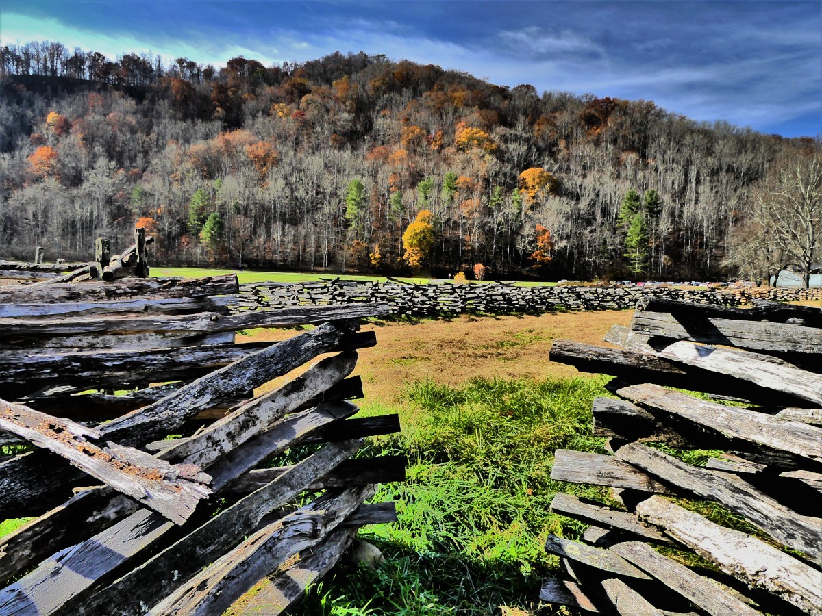 elk field fences