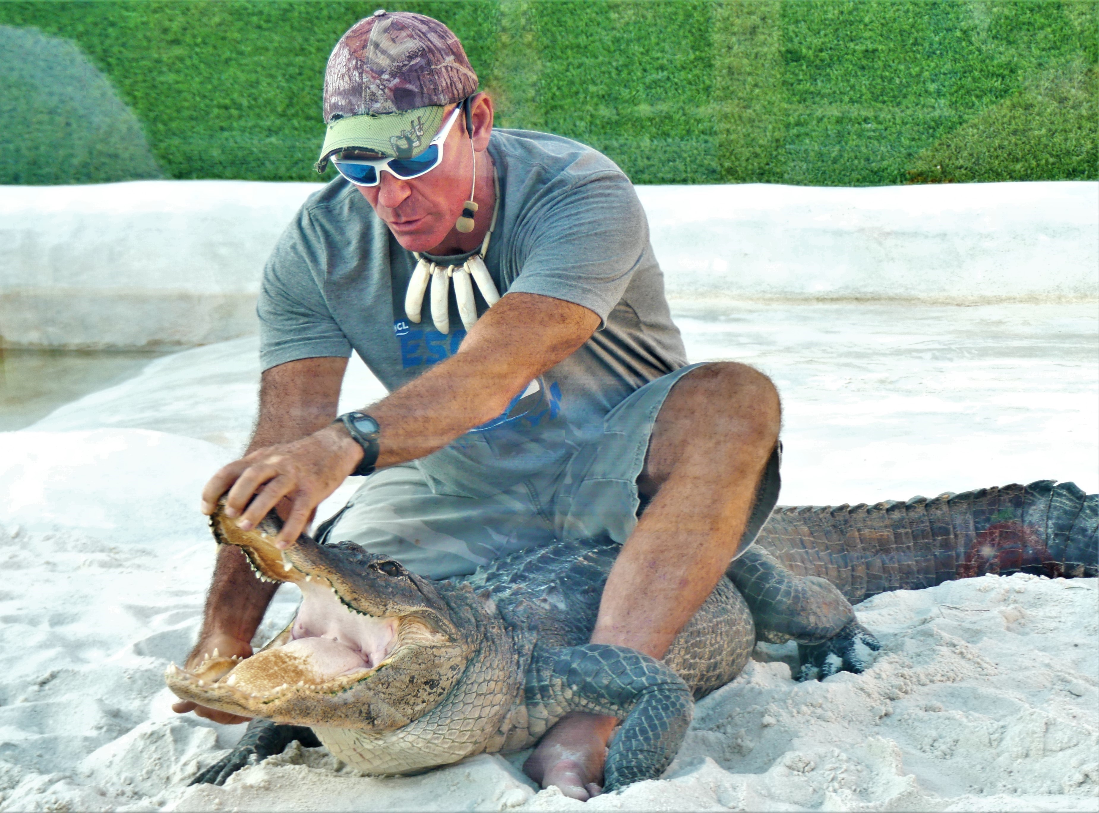 Stumpy shows his 80 teeth