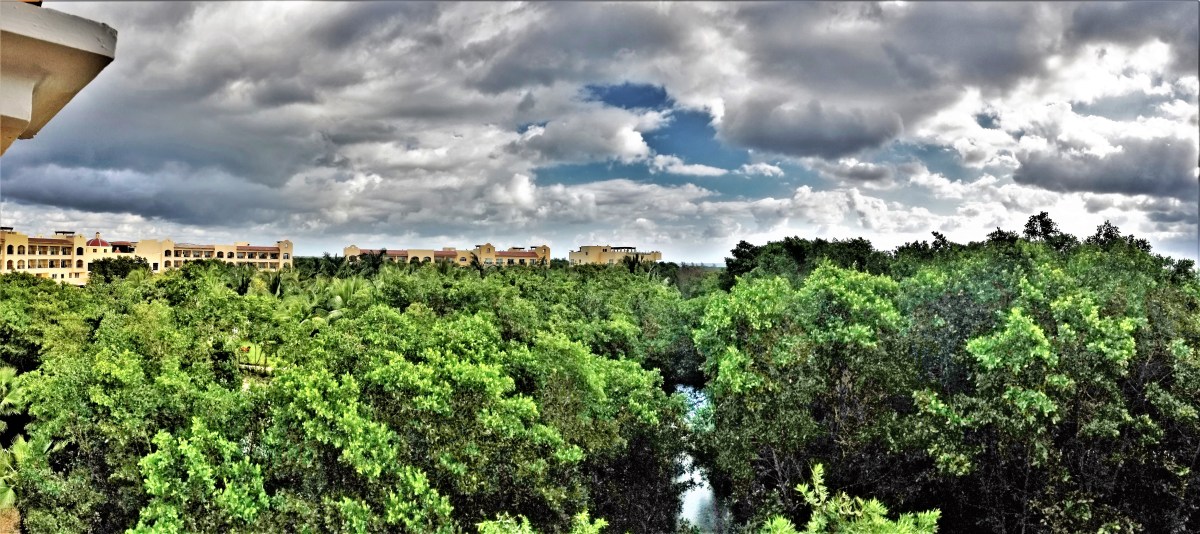 1st terrace view (2).jpg