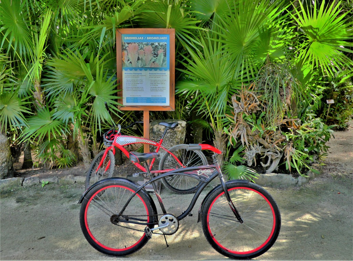 bicycles and nursery