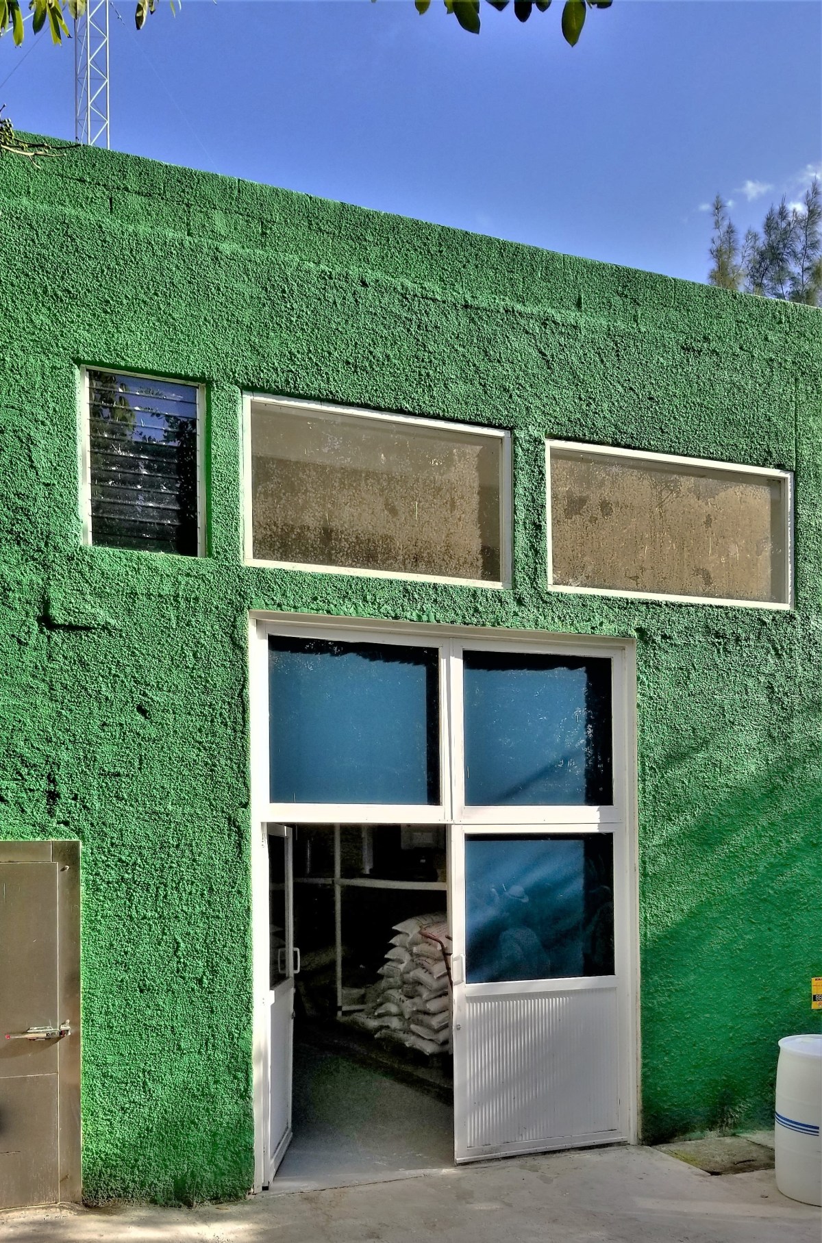 green wall brewery (2).jpg