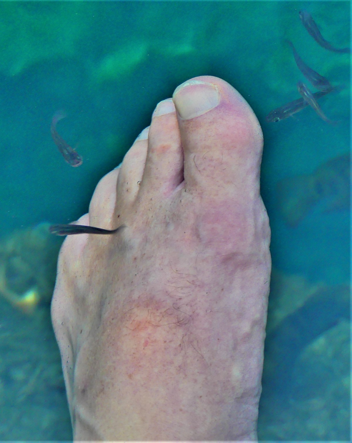 guppies and foot.jpg