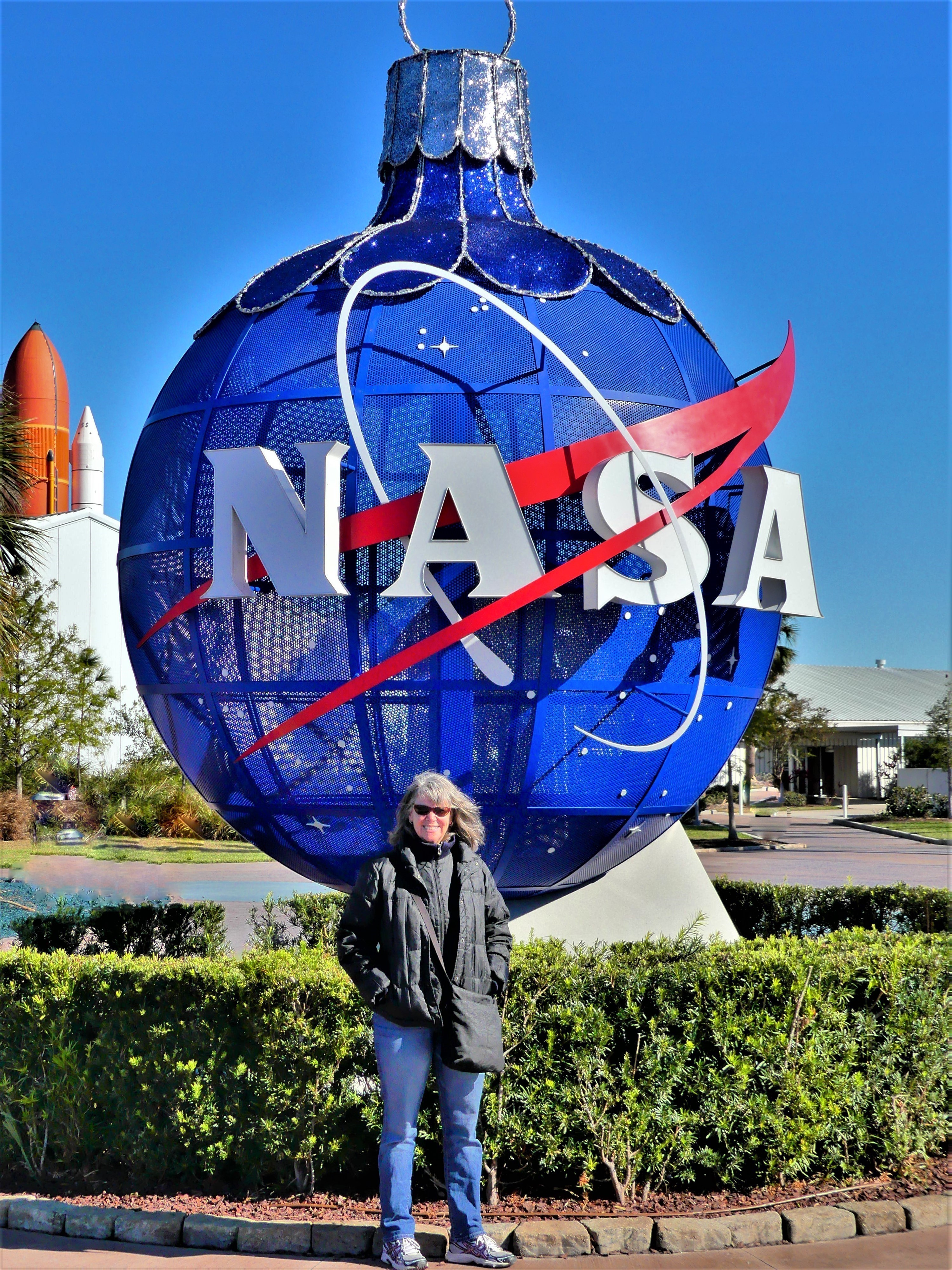 Nasa ornament (7)
