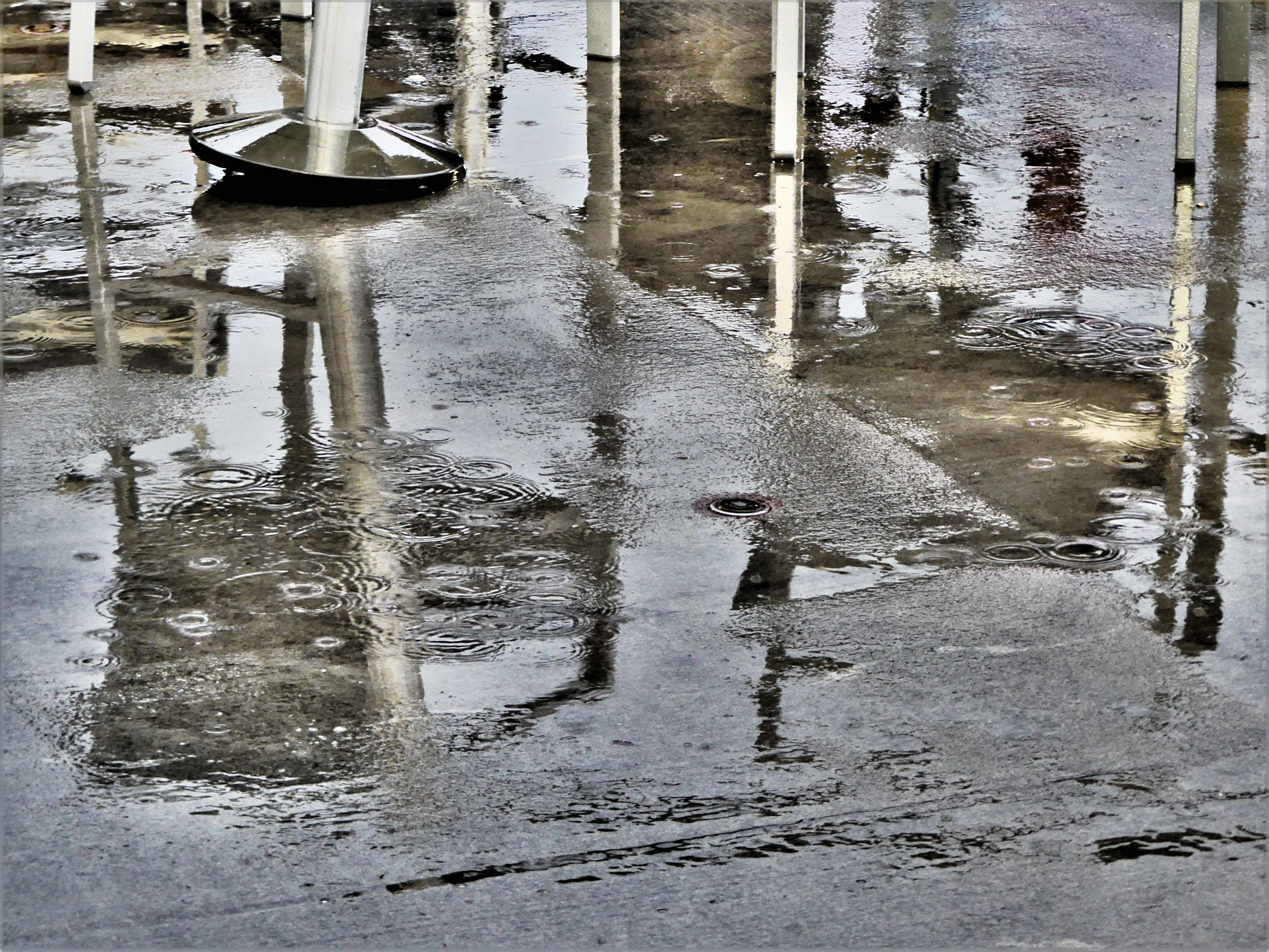 rain puddles