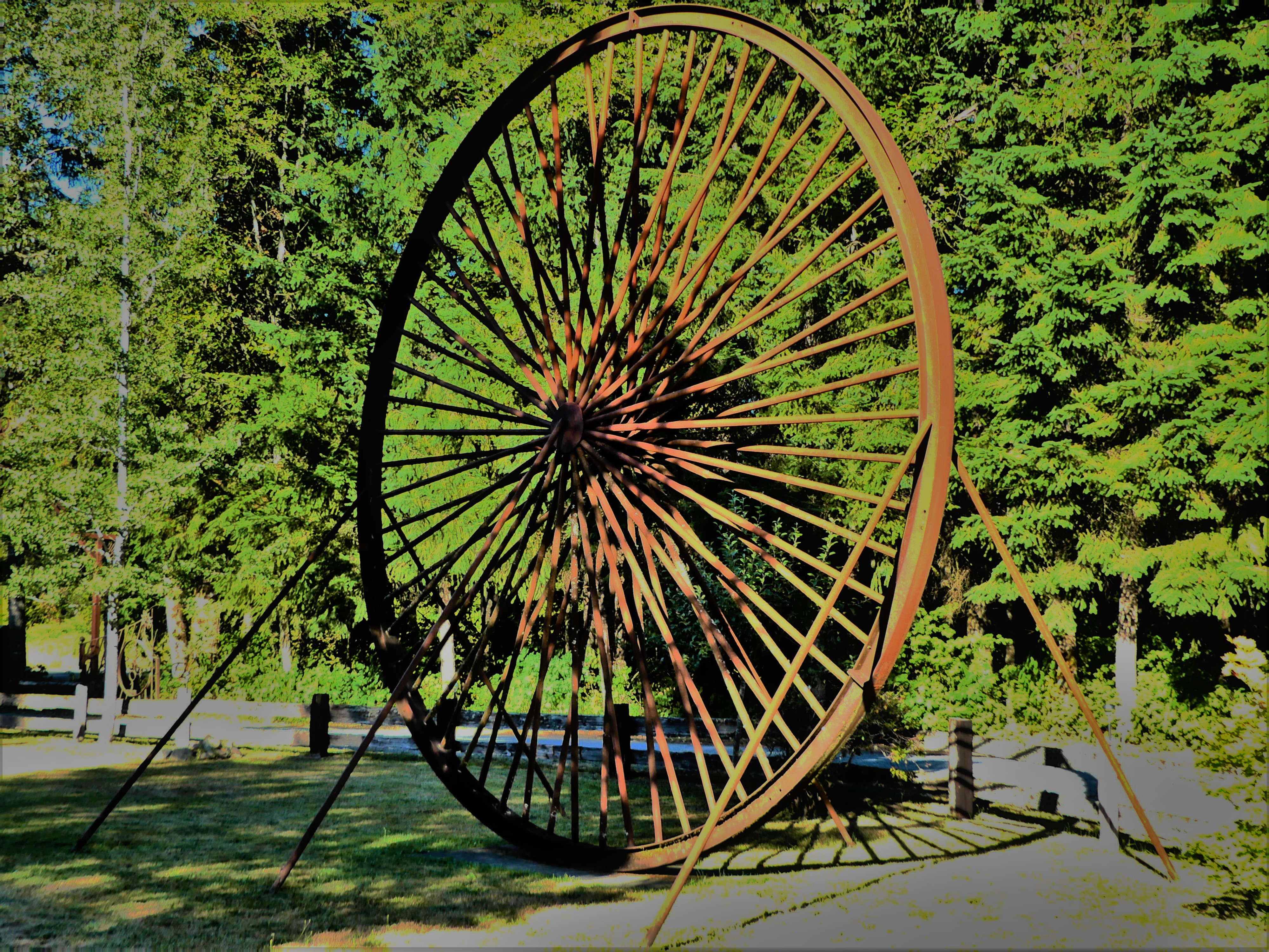 wheel