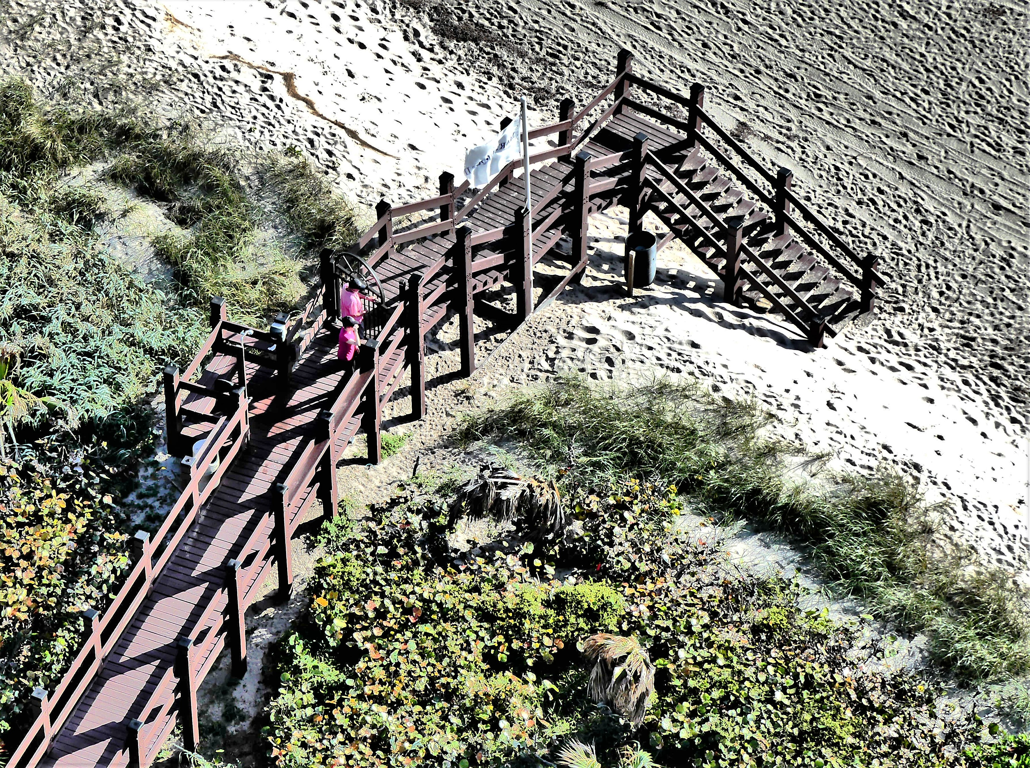 bridge over the dune