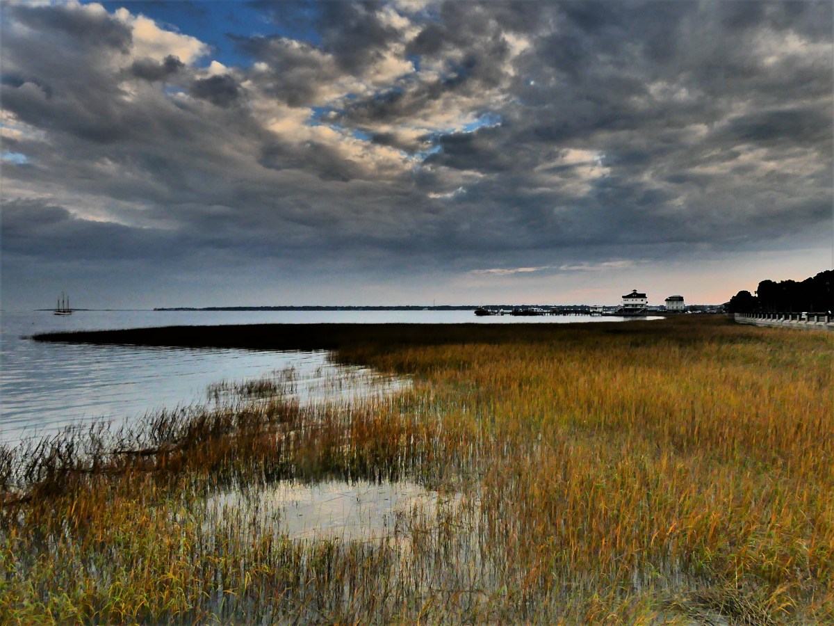 Charleston coastline