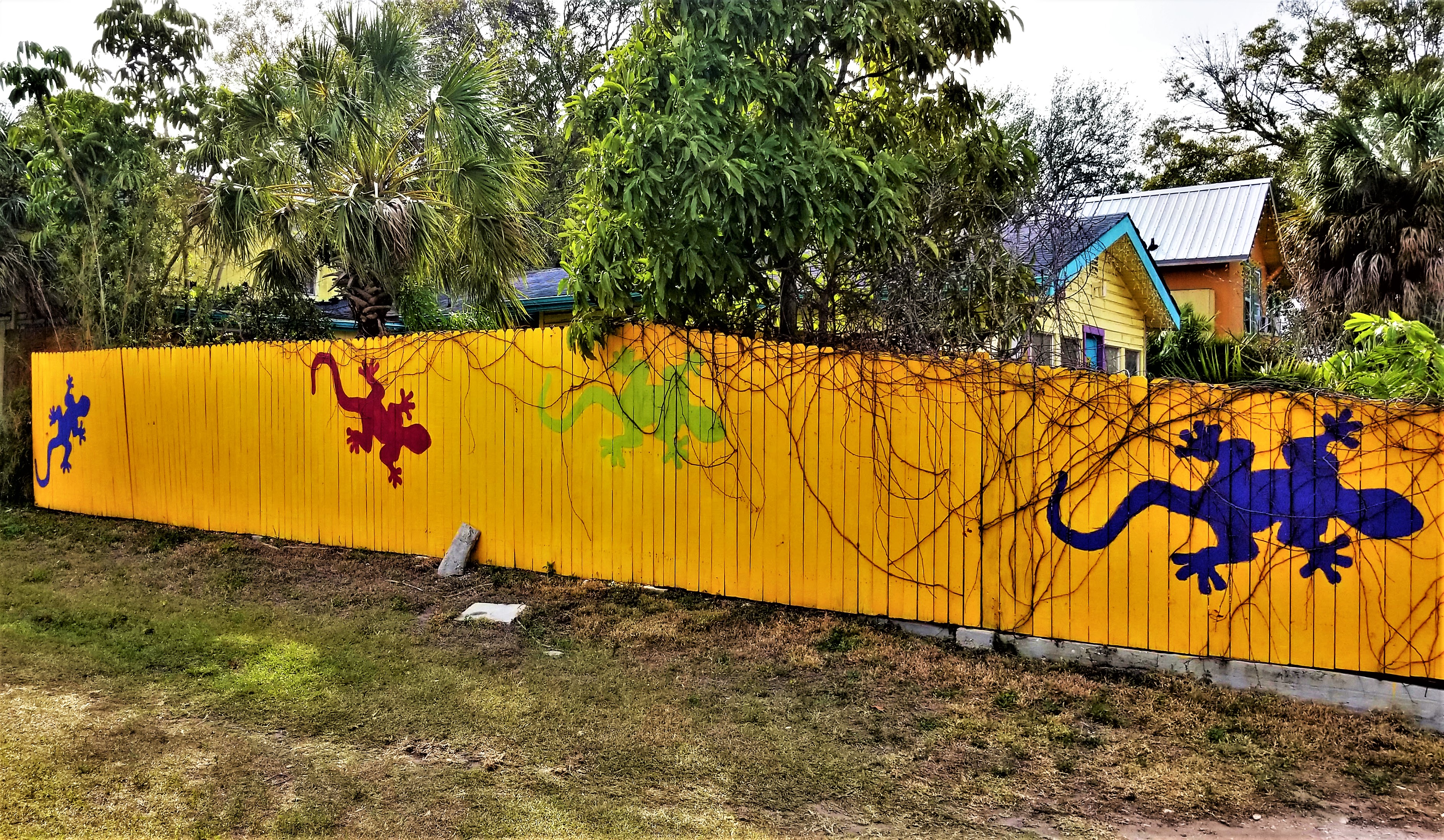 Gecko fence