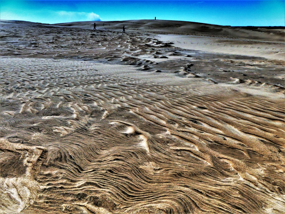 dune patterns