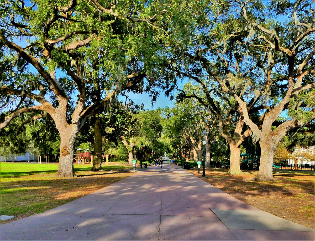 Forsyth Park