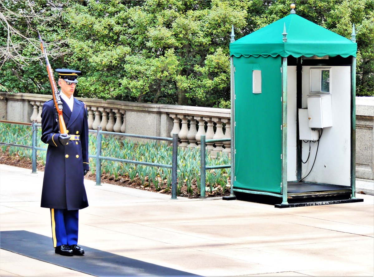 sentinel awaiting replacement